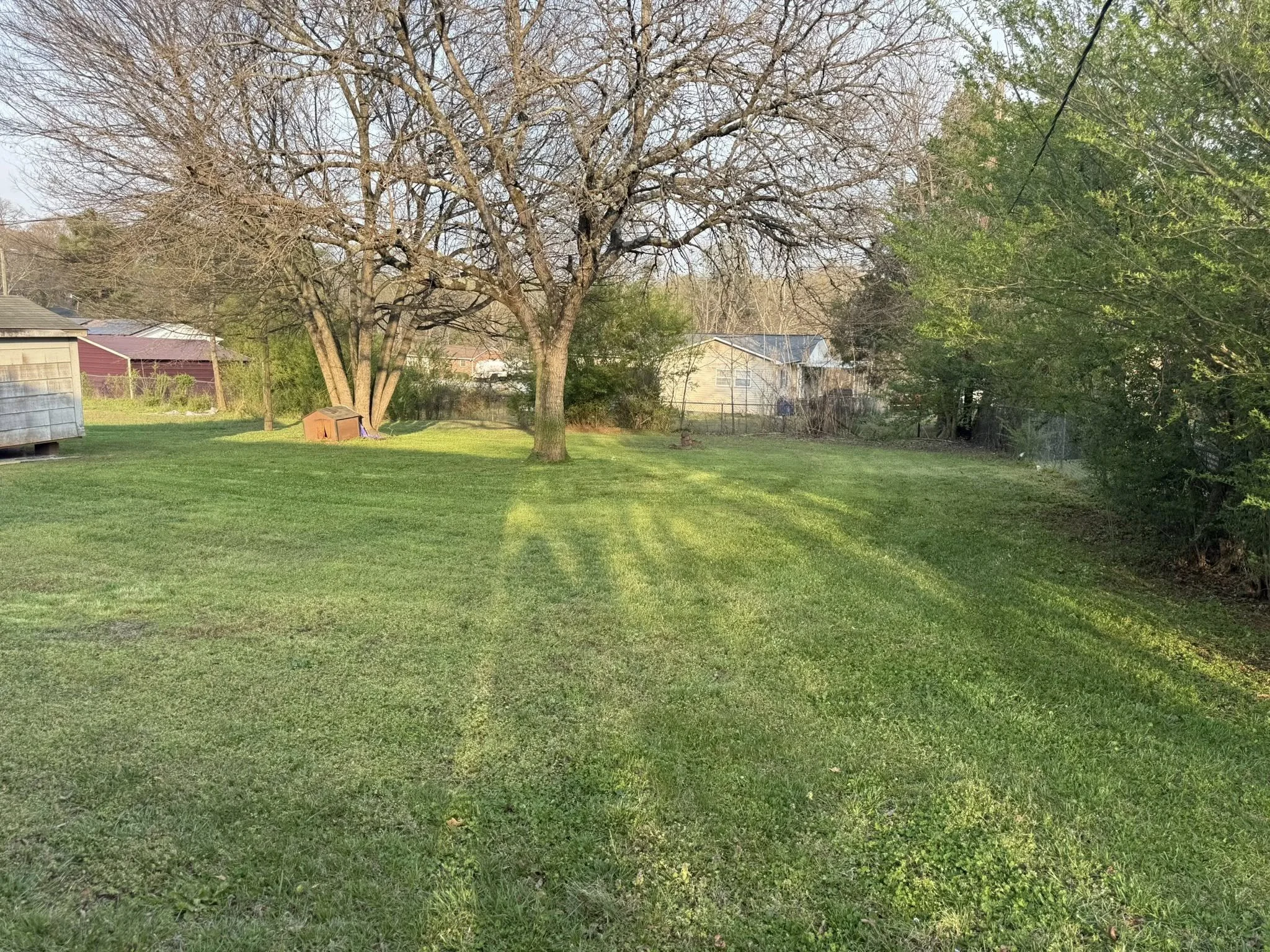 Fresh cut lawn