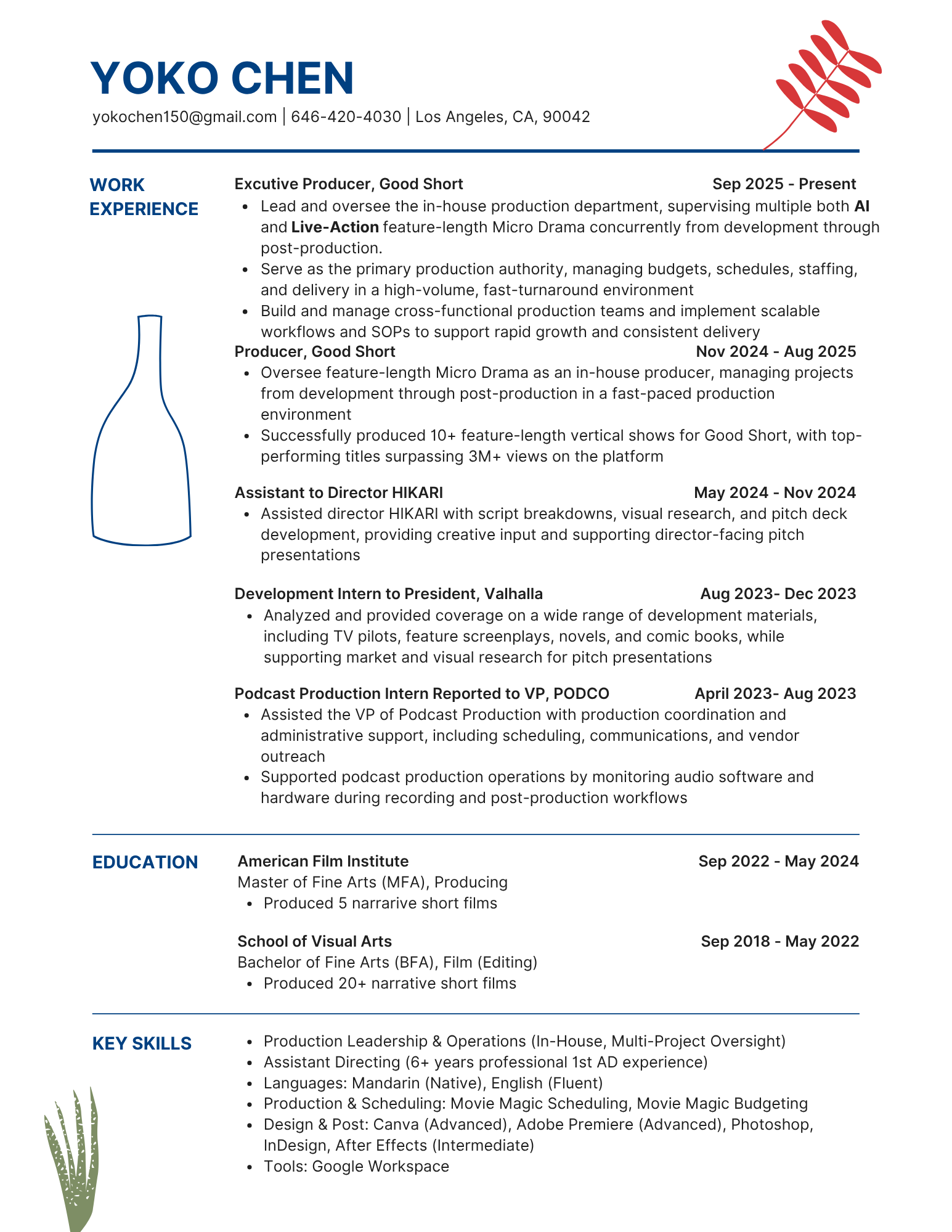 A resume for Yoko Chen with section headings including WORK EXPERIENCE, EDUCATION, and KEY SKILLS. It features a blue and red leaf graphic in the top right corner, a blue outline of a wine bottle, and a green plant graphic on the bottom left.