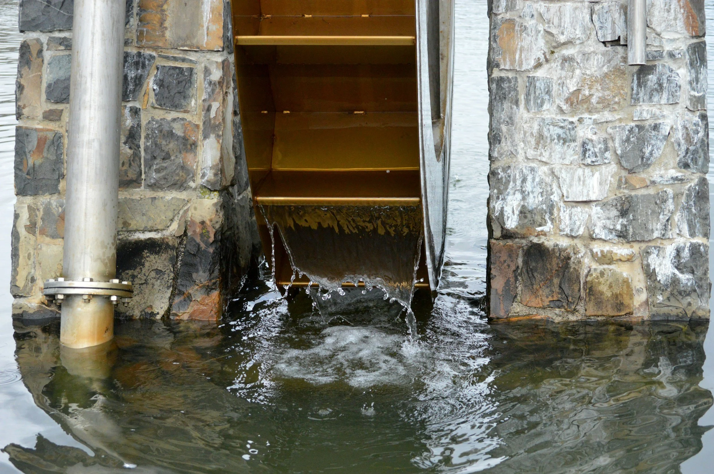 Water backed up. clogged piped. water leak. flooding. flushing issue. water won't drain