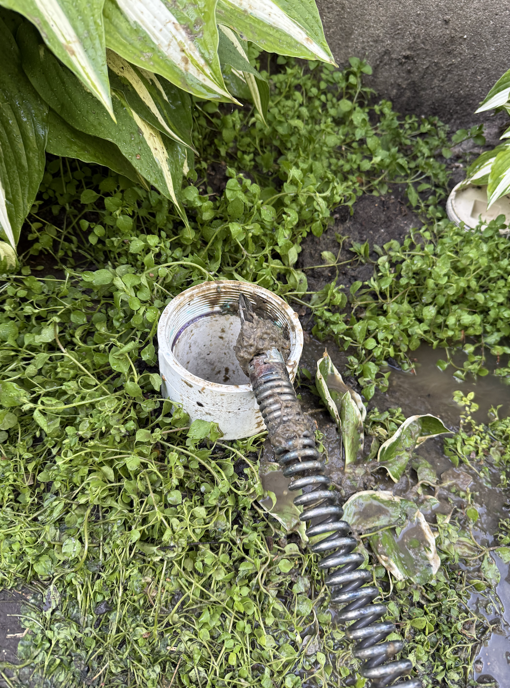 Bonanno Sewer & Drain LLC. Sewer main clean out rodding. rodding removal of debries and roots..png