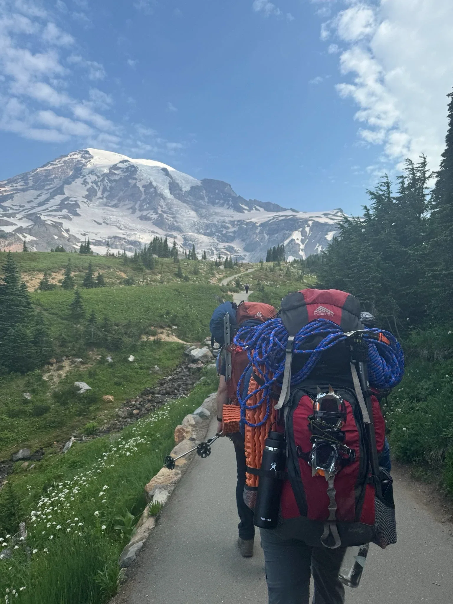 A group of hikers walking on a trail in a mountainous area with snow-capped peaks and trees in the background. They are carrying backpacks and other camping gear.