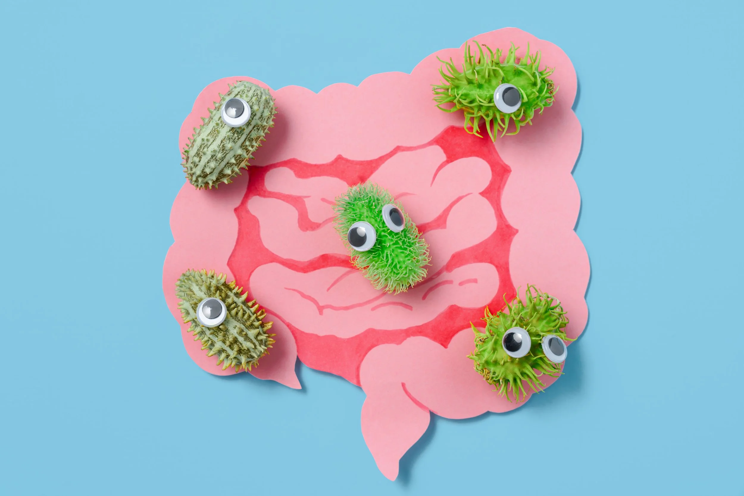 Paper cutout of a pink human digestive system with cartoonish green and beige bacteria with googly eyes attached to it on a blue background