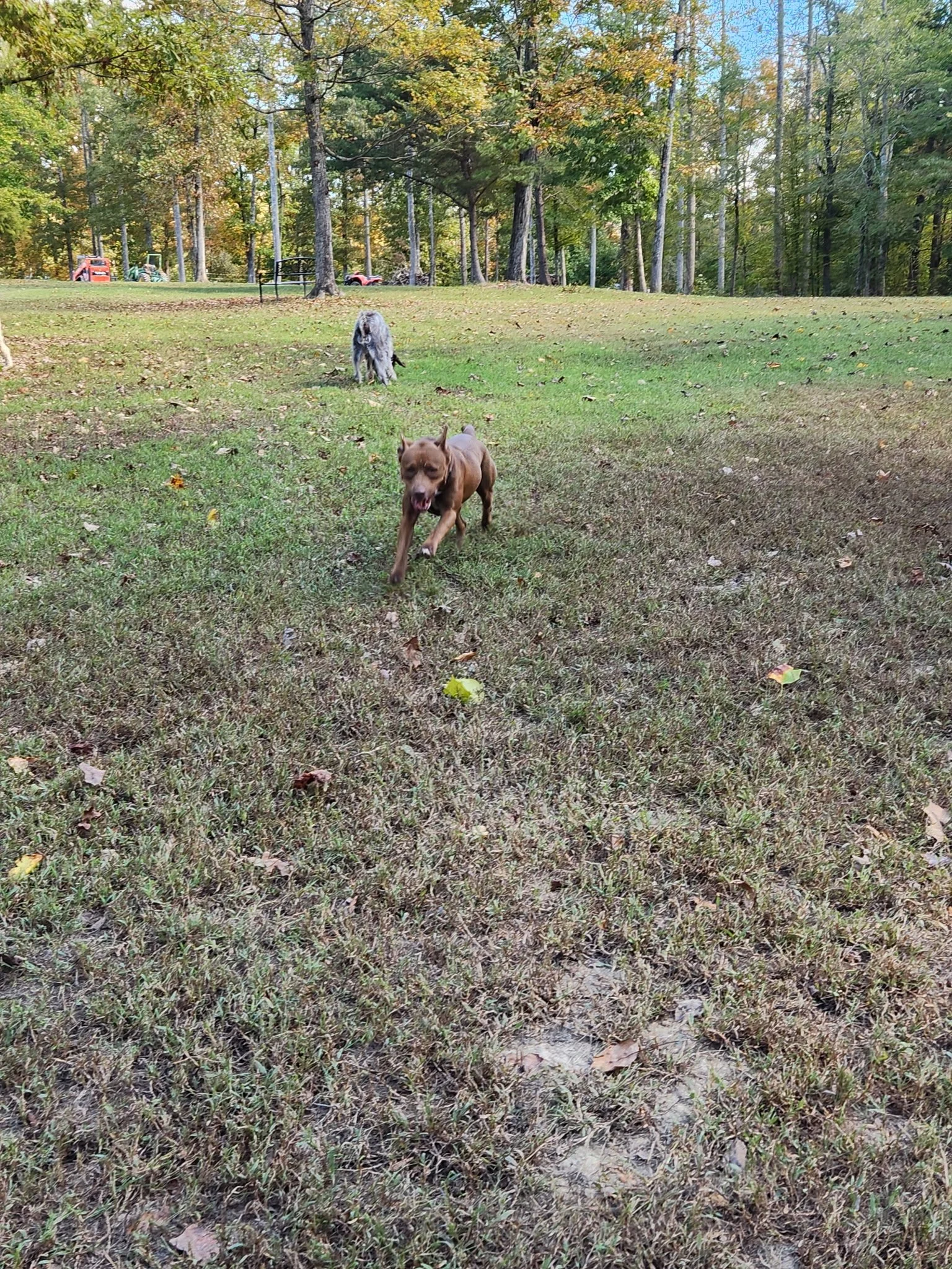 20261017_110956.jpeg