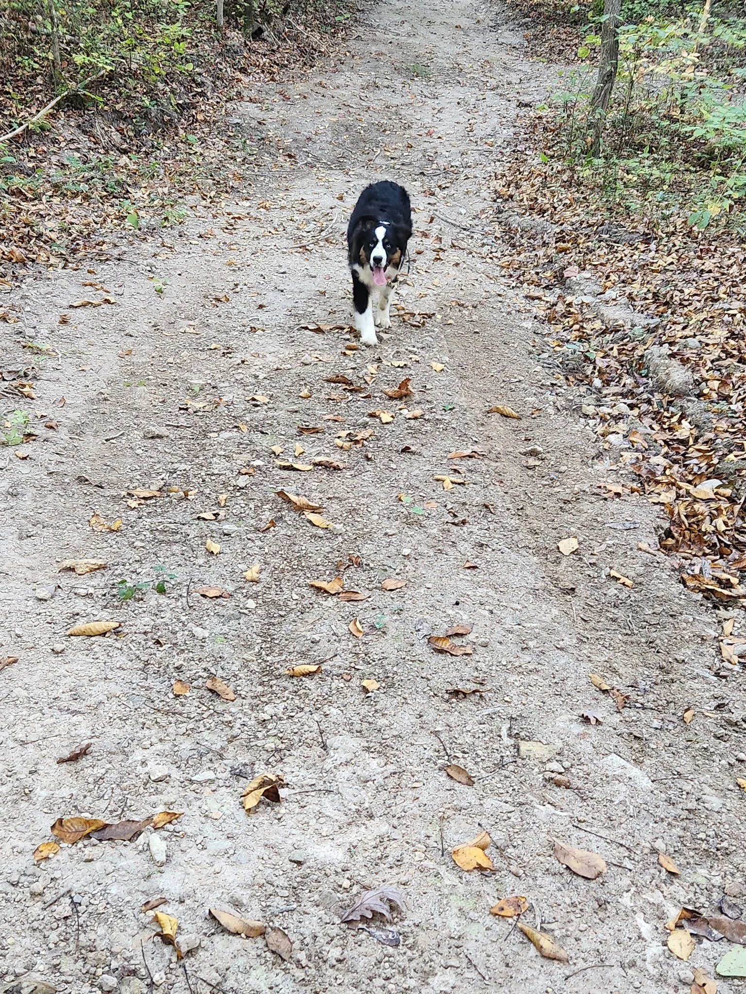 20261022_083526.jpeg