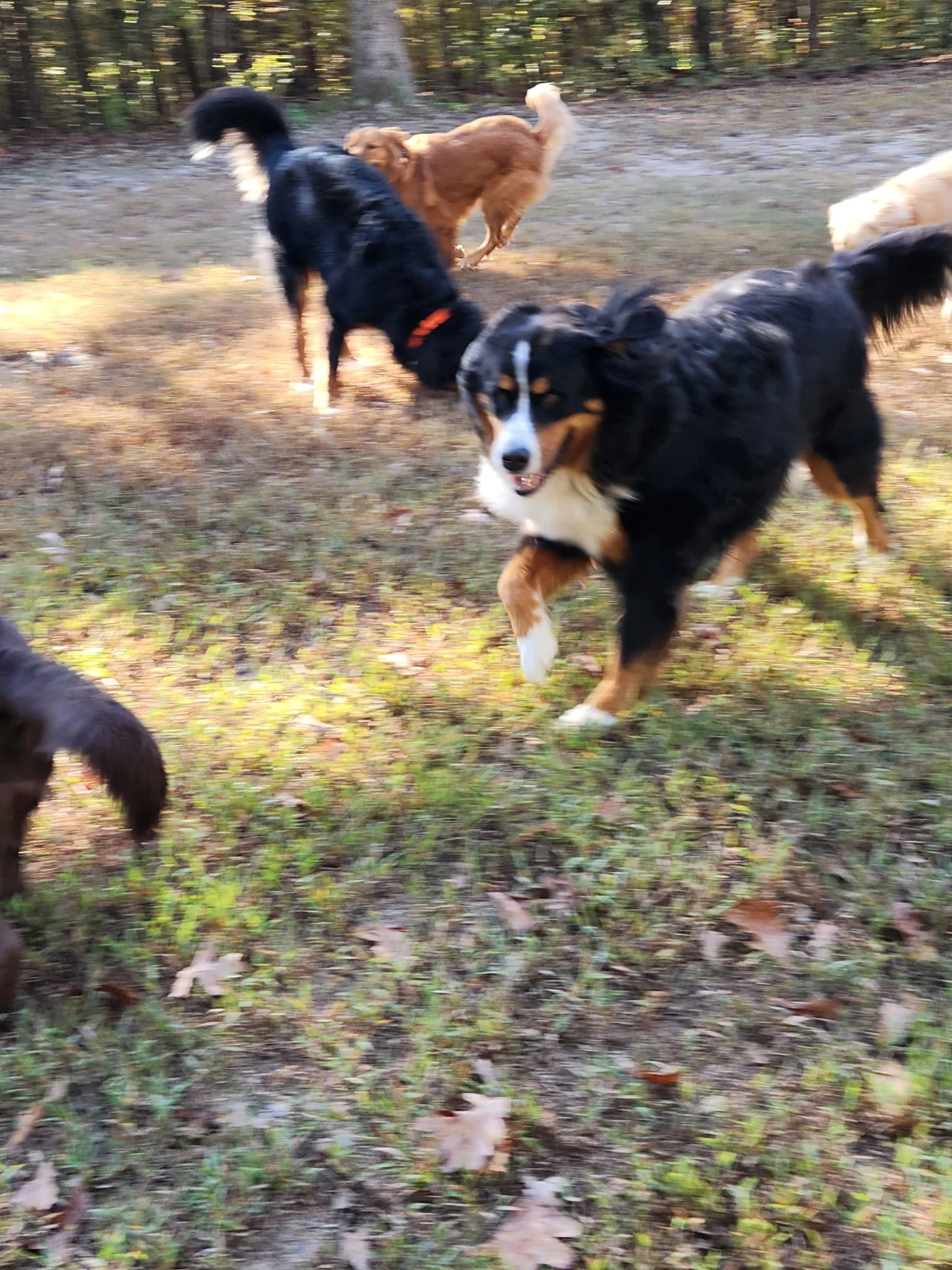 20261024_100347.jpeg