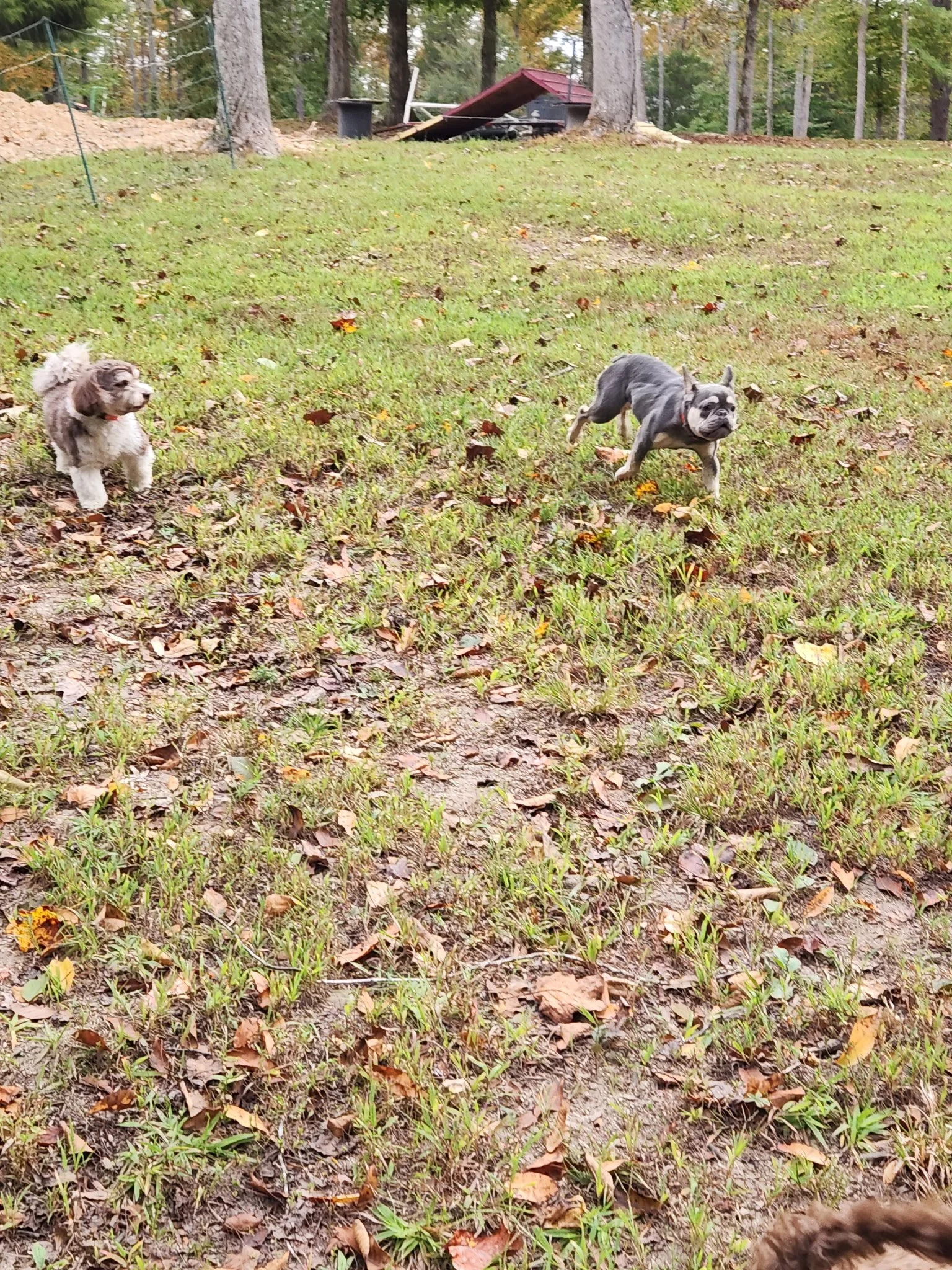 20261017_084345.jpeg