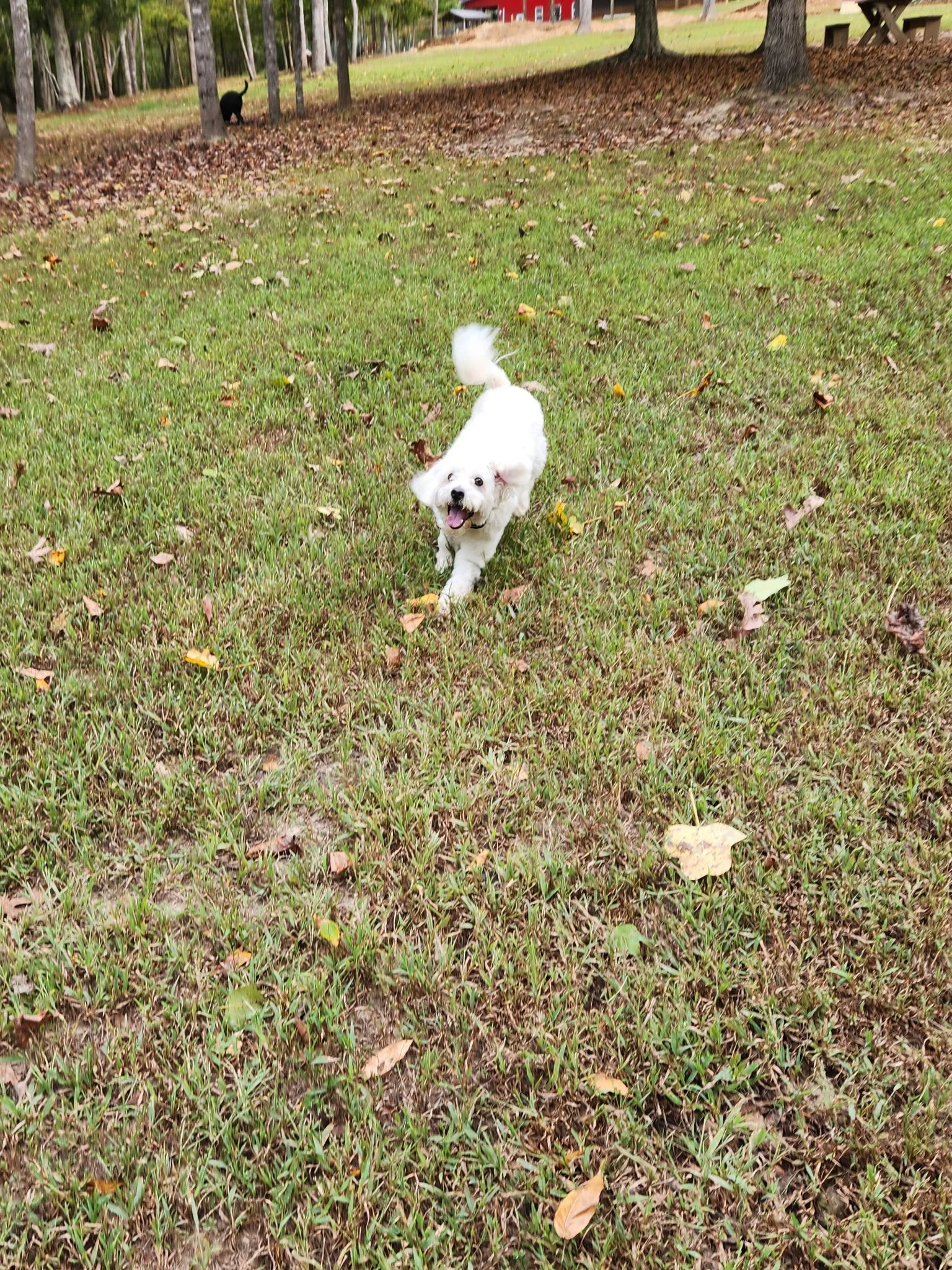 20261017_093840.jpeg