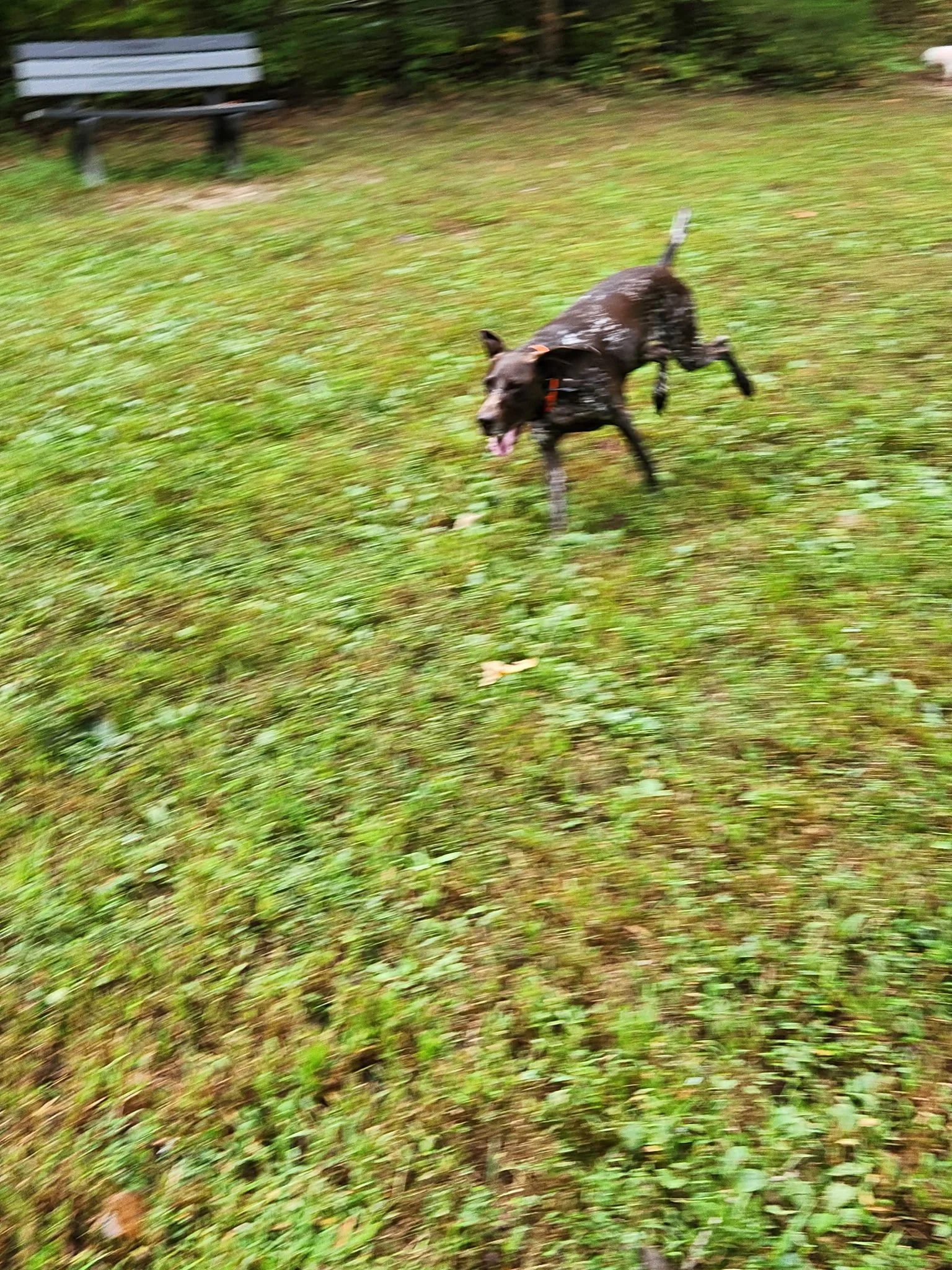 20260912_094530.jpeg