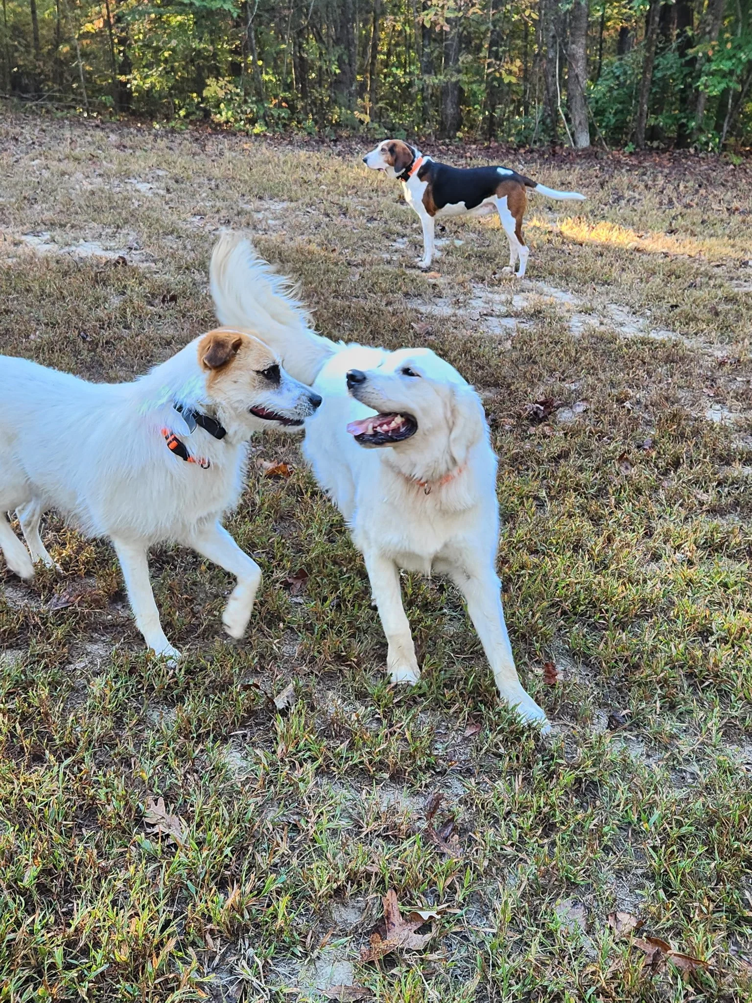 20261024_083441.jpeg