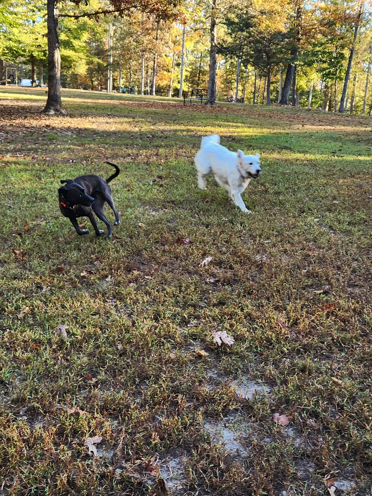 20261024_083232.jpeg