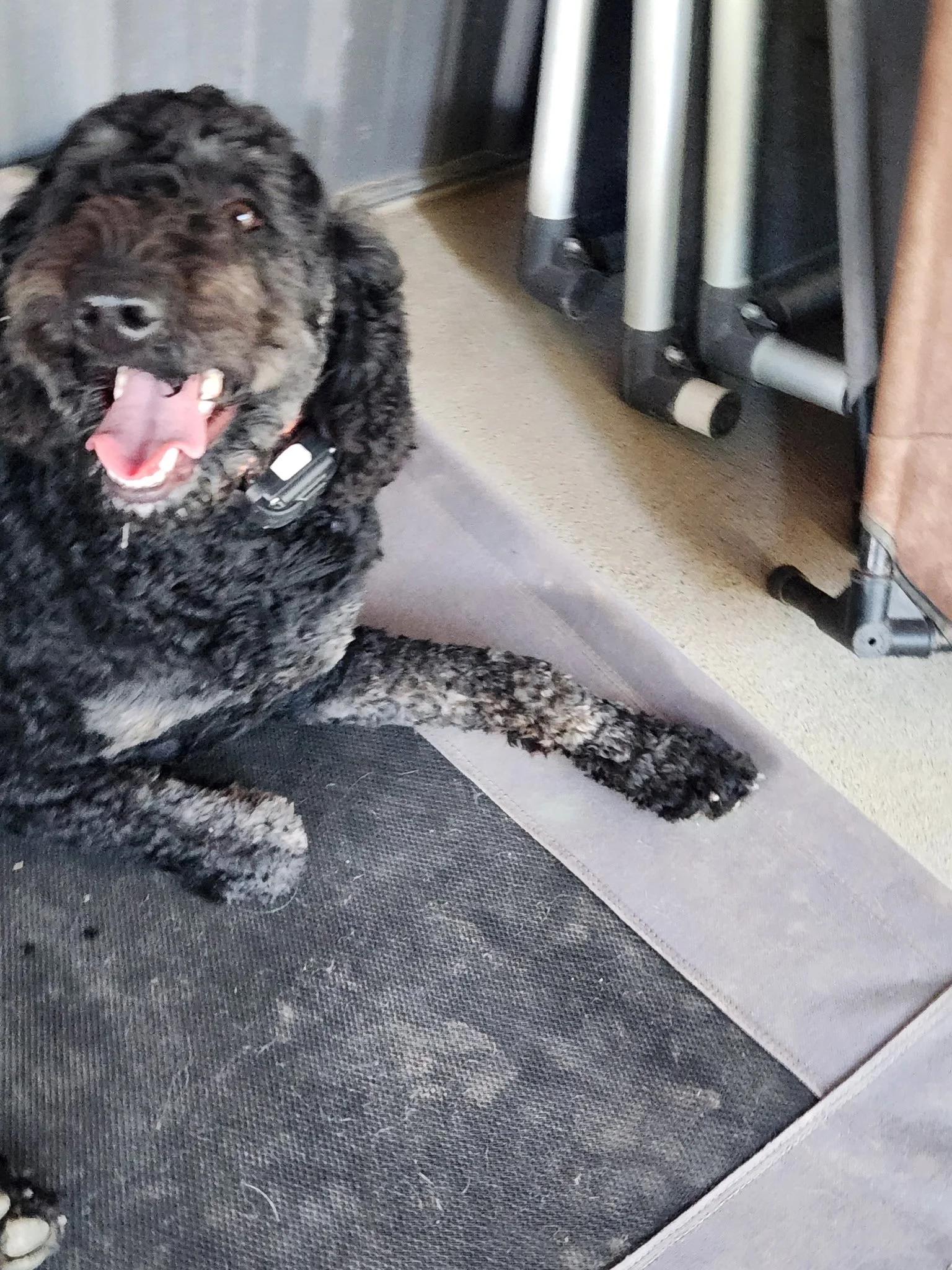 20261017_102448.jpeg