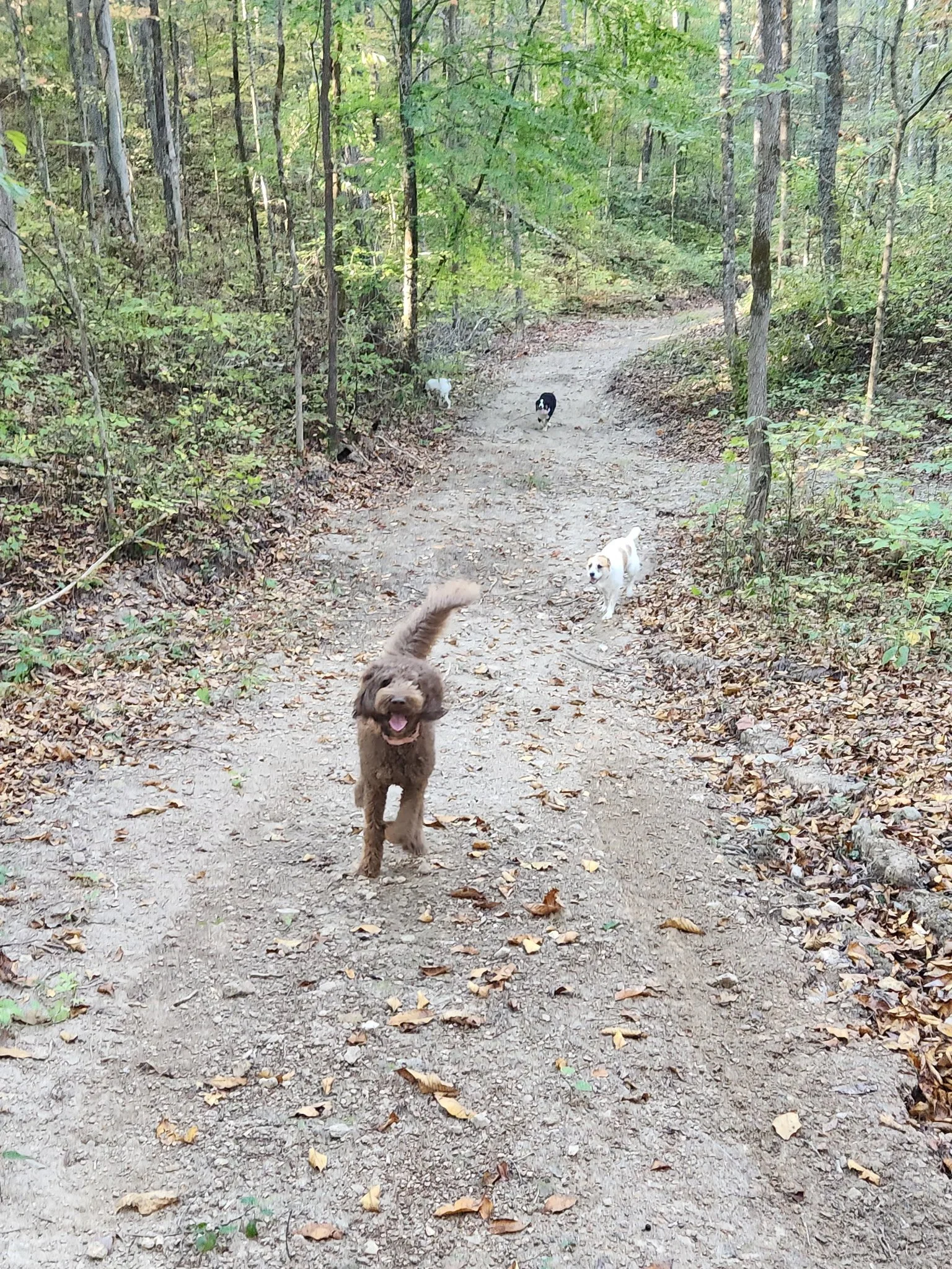 20261022_083523.jpeg