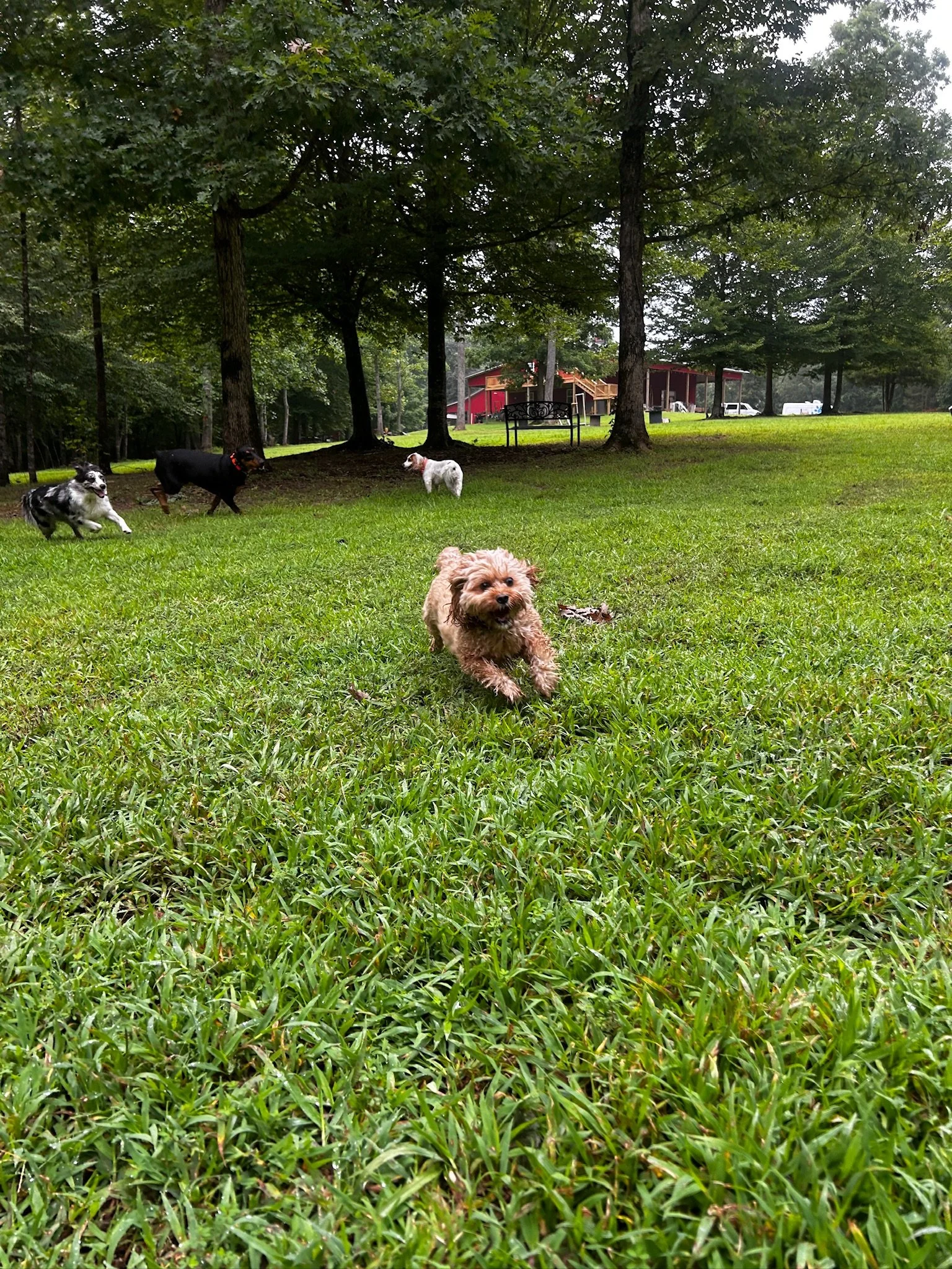 IMG_8615.jpeg