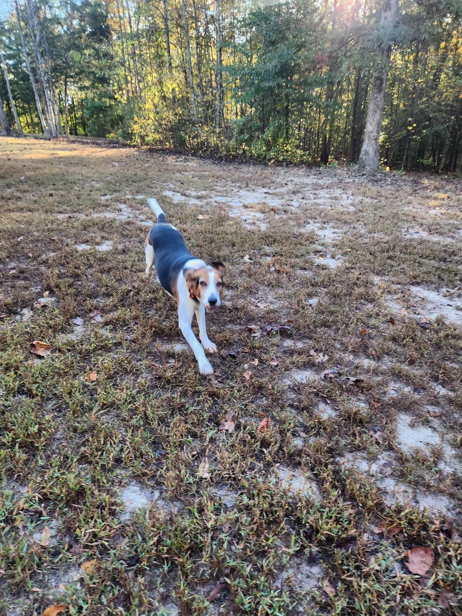 20261023_082437.jpeg