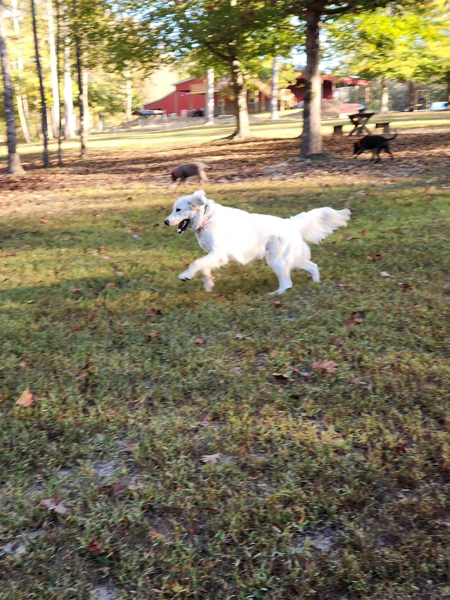 20261024_083215.jpeg