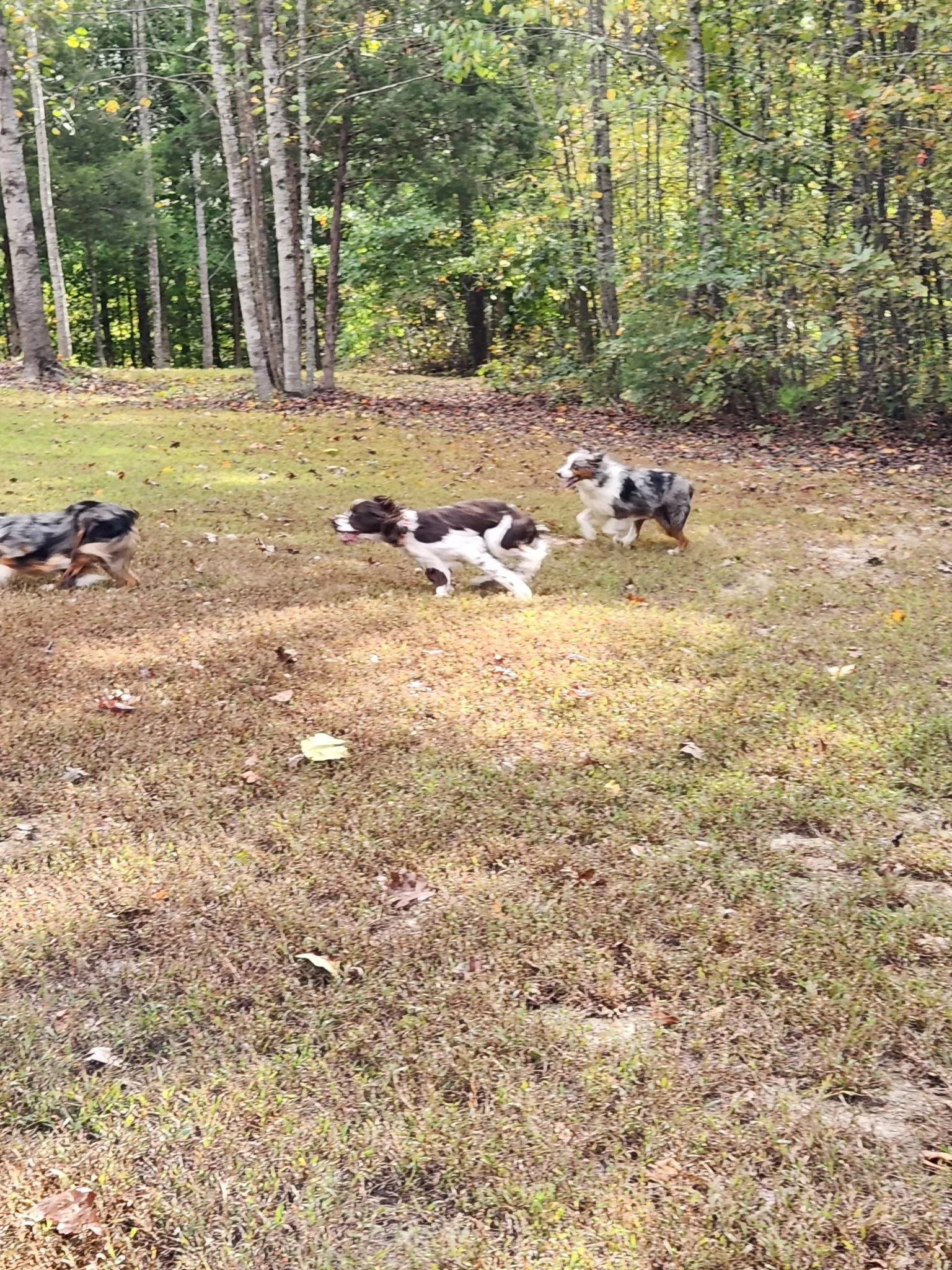 20261017_093901.jpeg