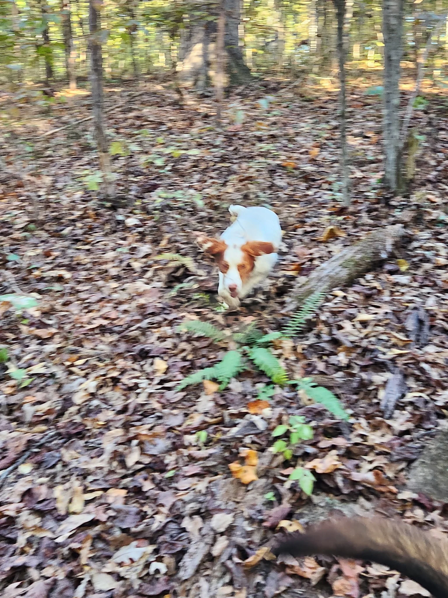 20261023_085231.jpeg