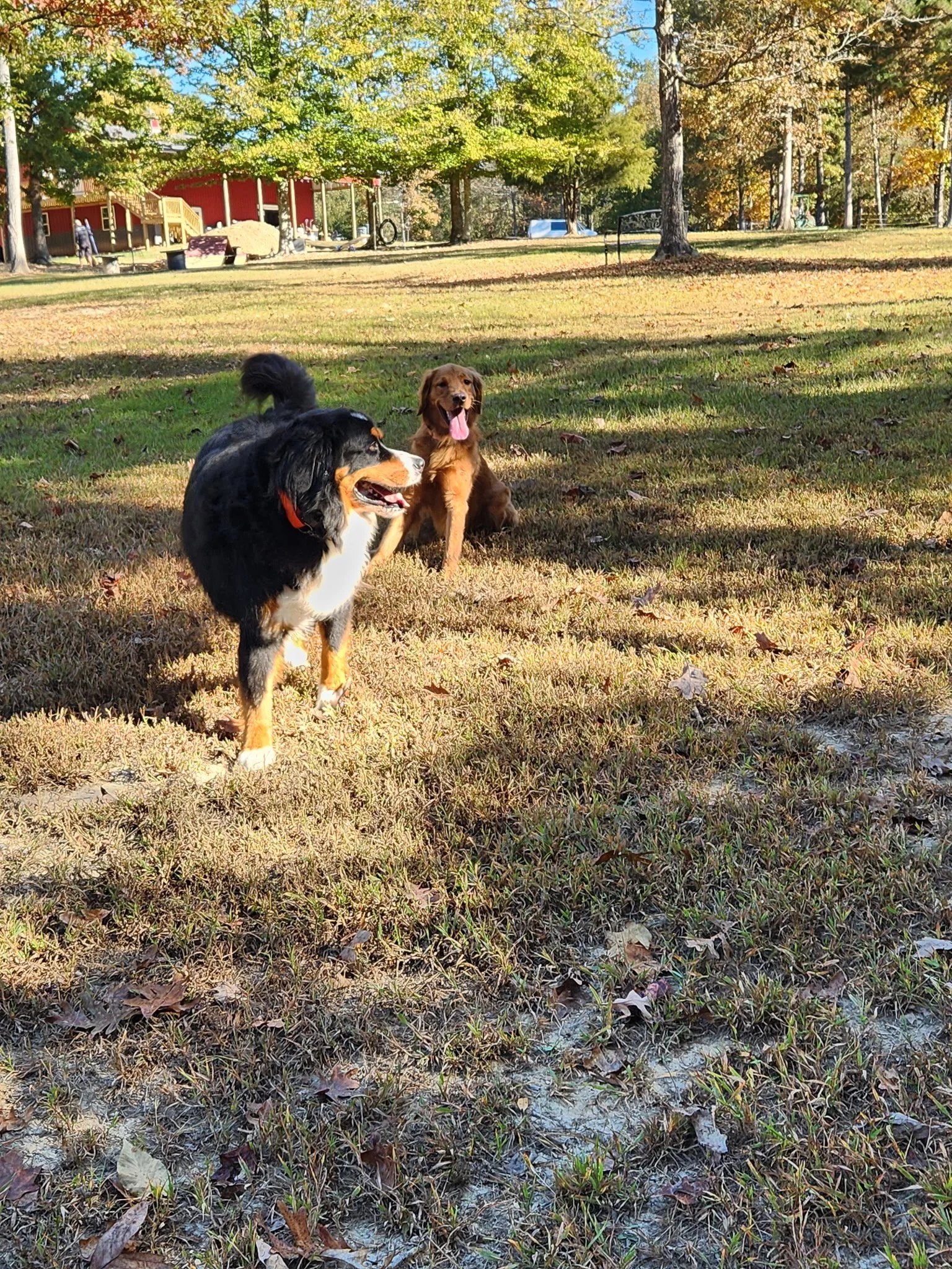 20261024_100449.jpeg