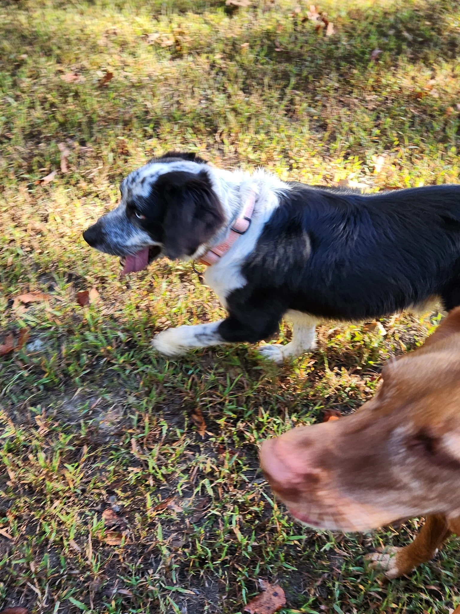 20261024_093856.jpeg