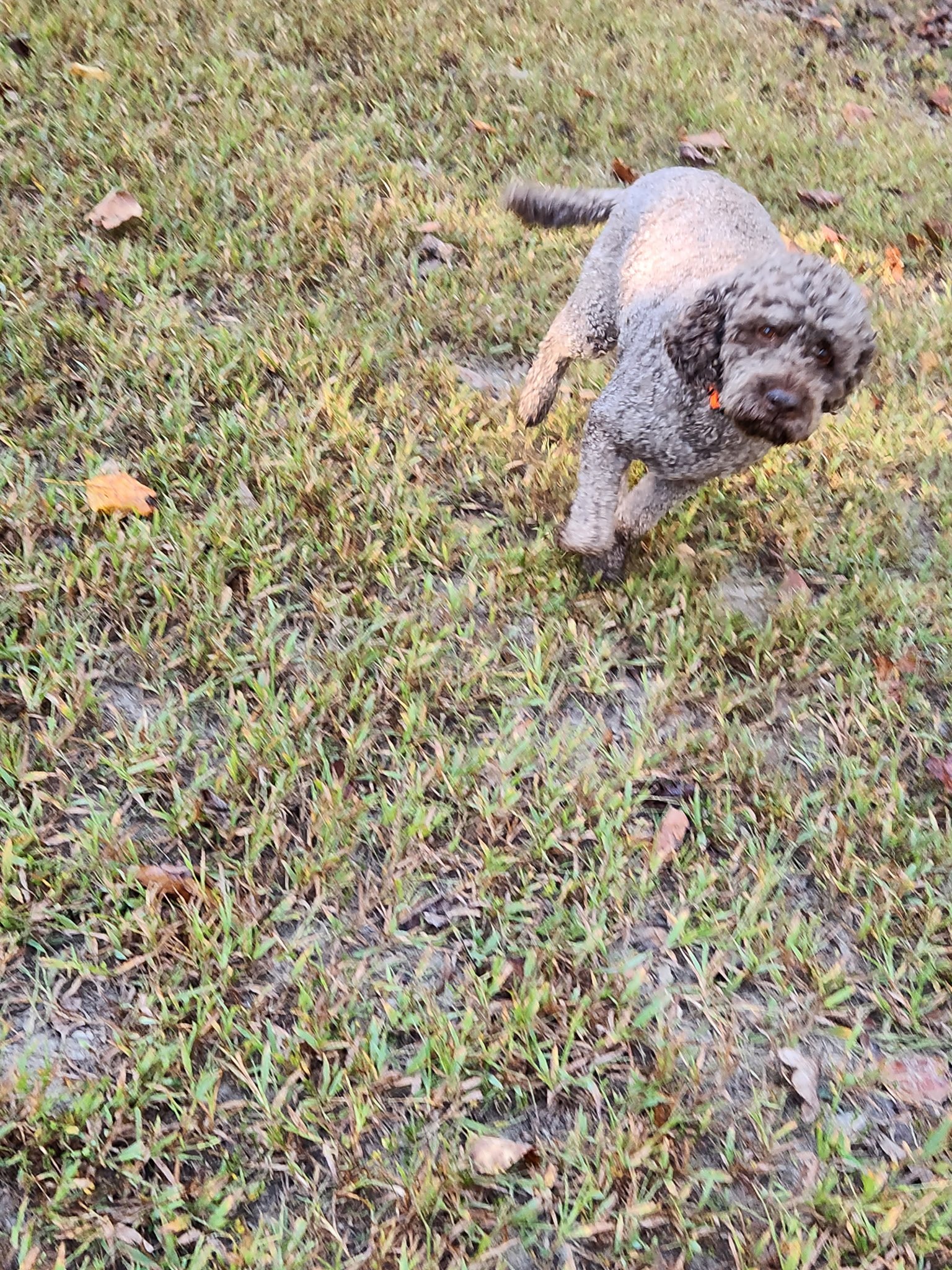 20261024_083425.jpeg