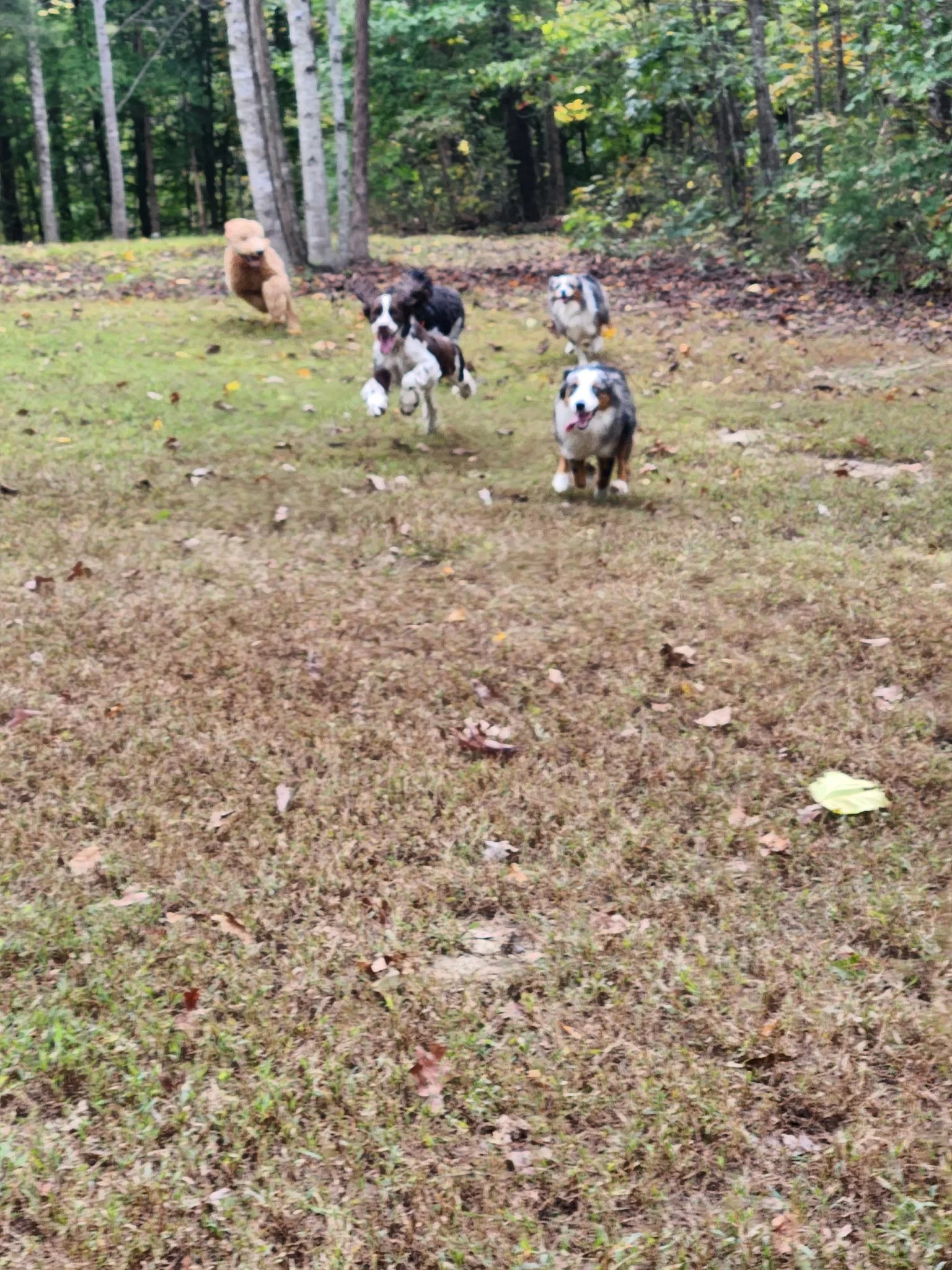 20261017_093909.jpeg