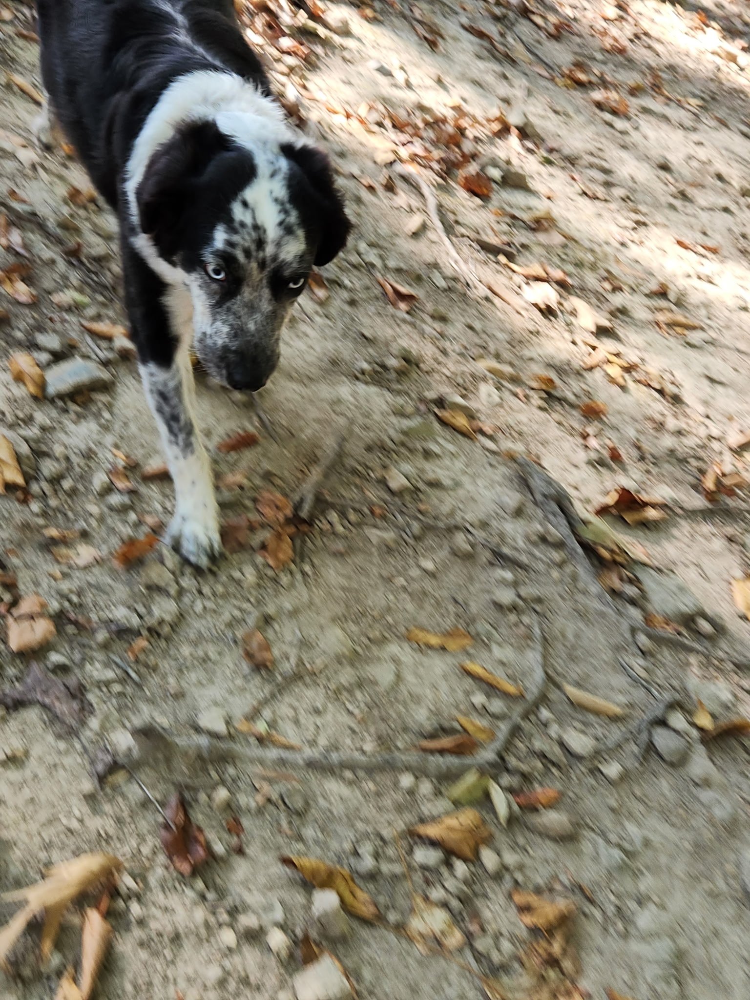 20261024_094021.jpeg