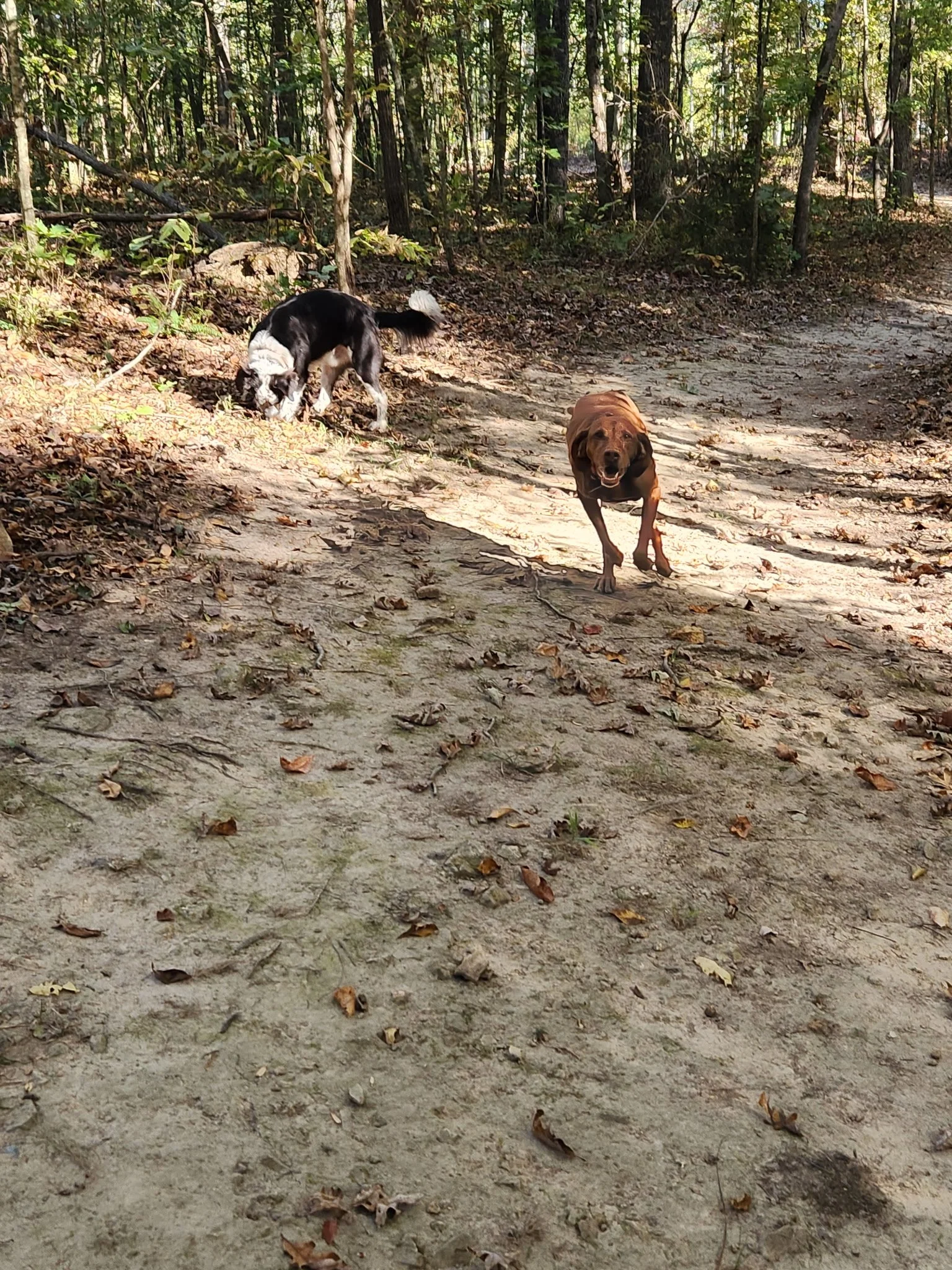 20261023_091553.jpeg