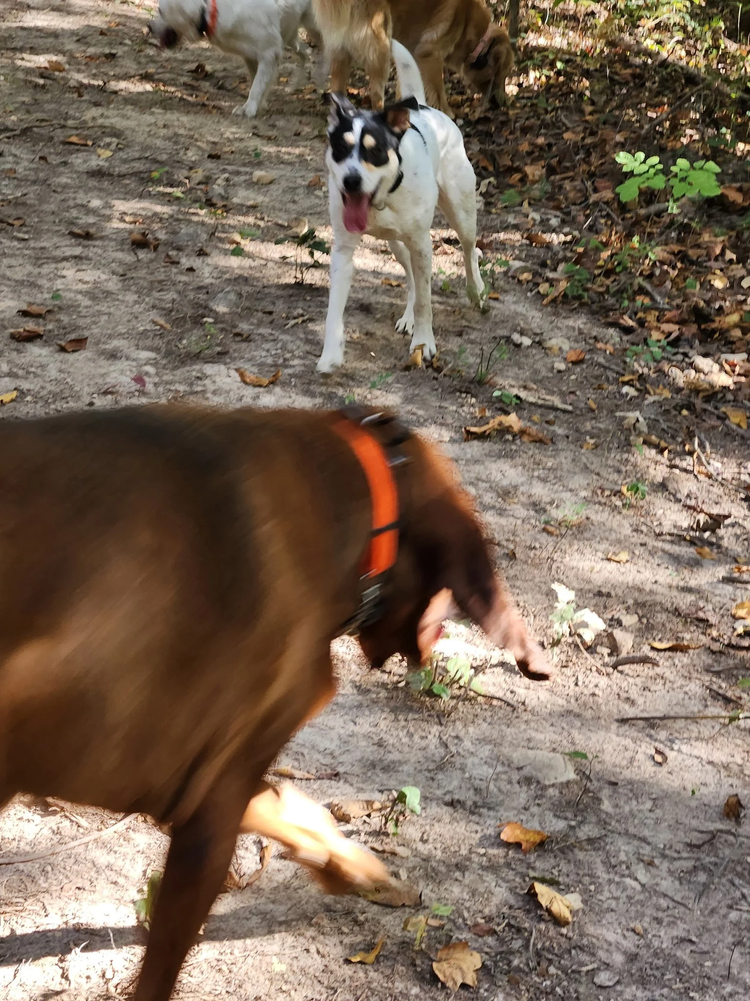 20261022_092935.jpeg