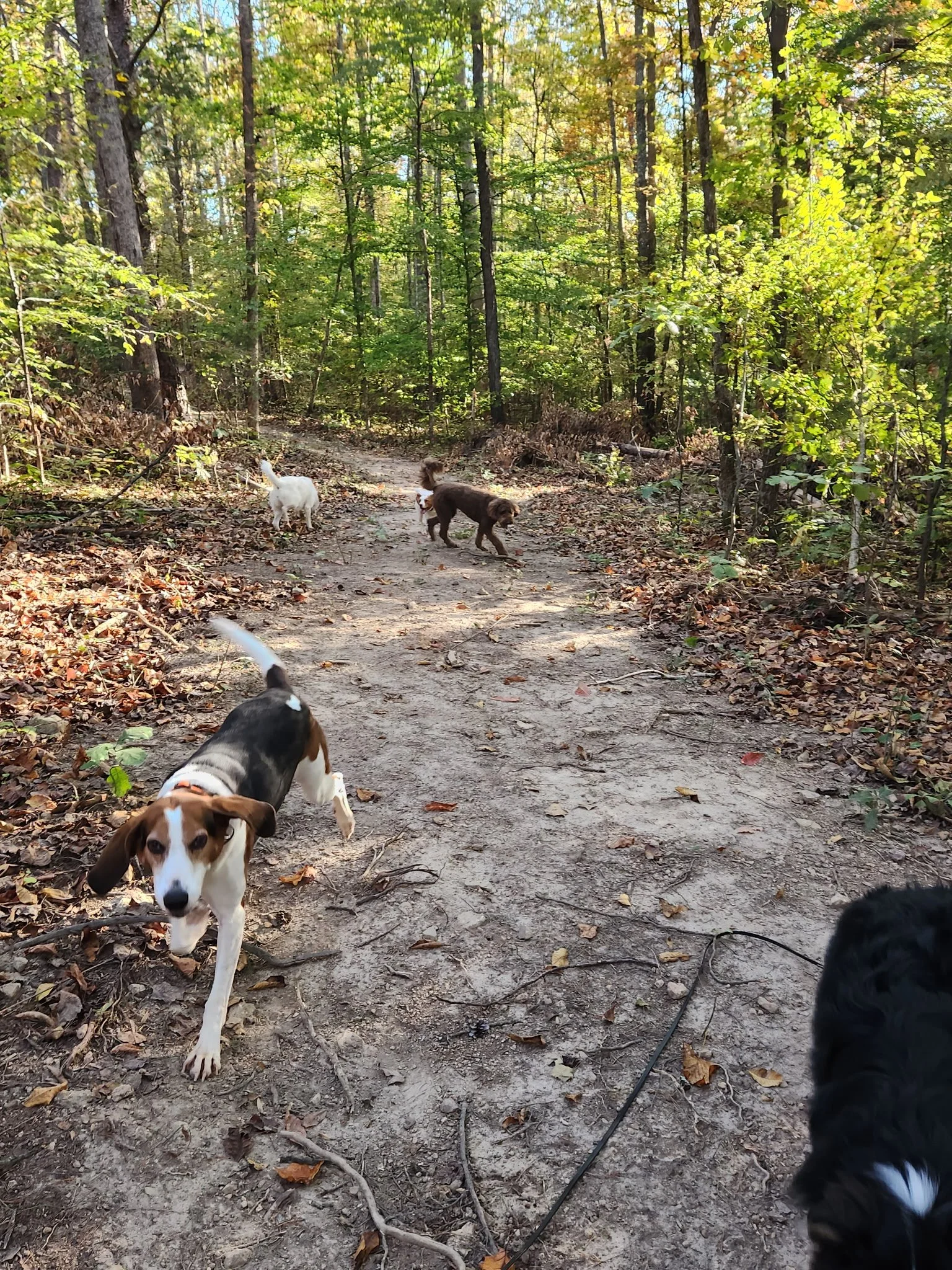 20261022_082940.jpeg