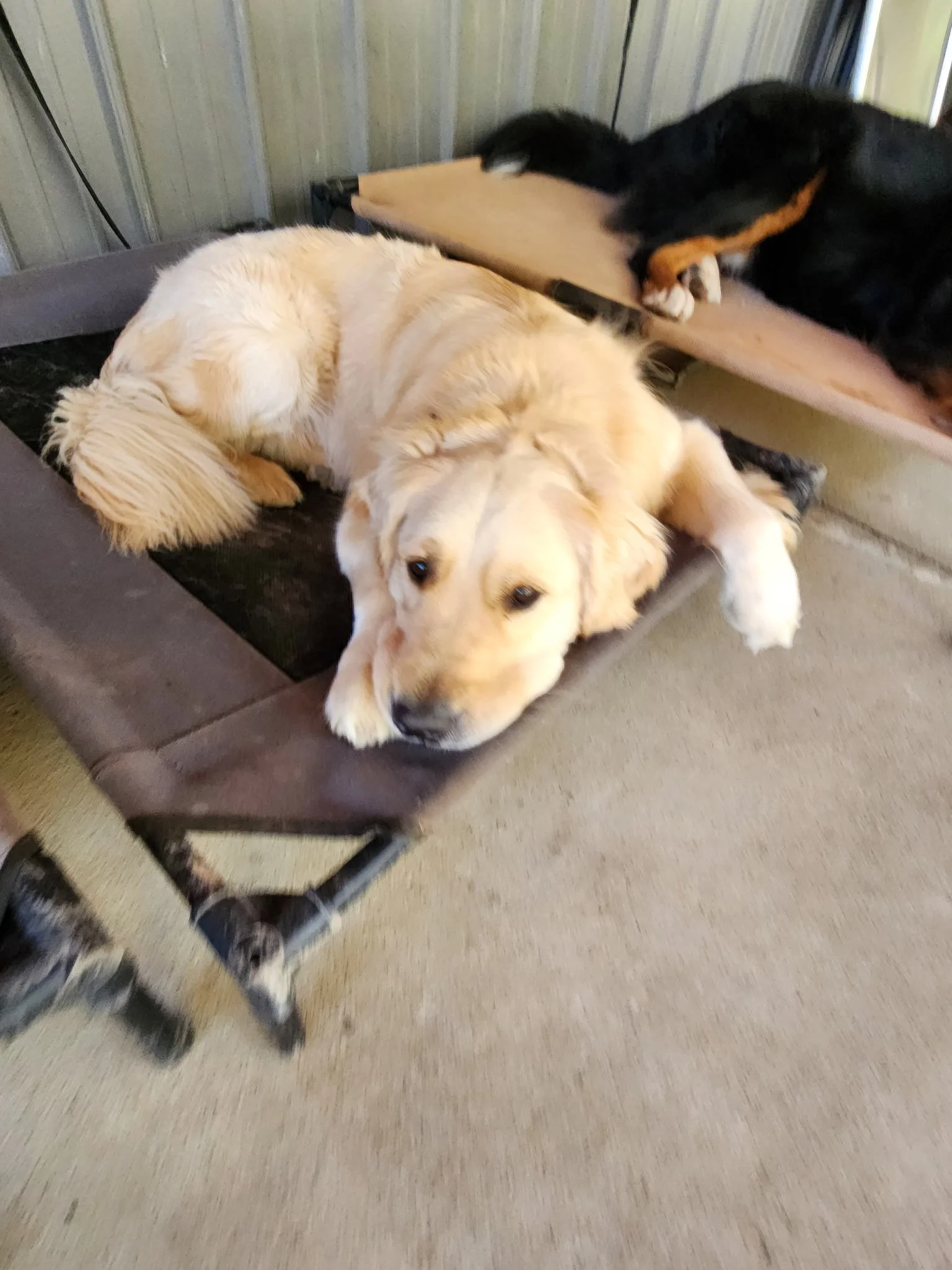 20261024_101043.jpeg