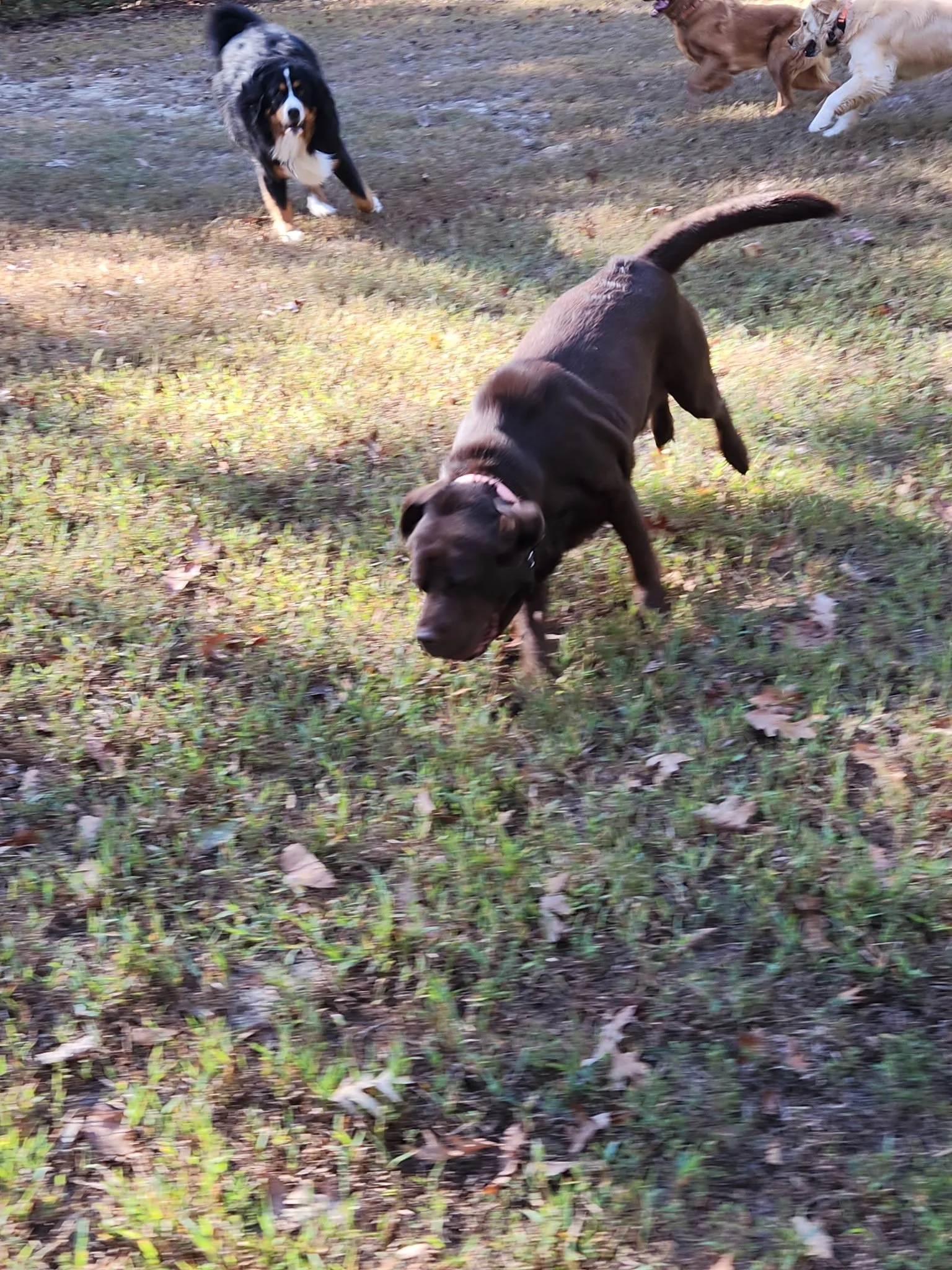 20261024_100345.jpeg