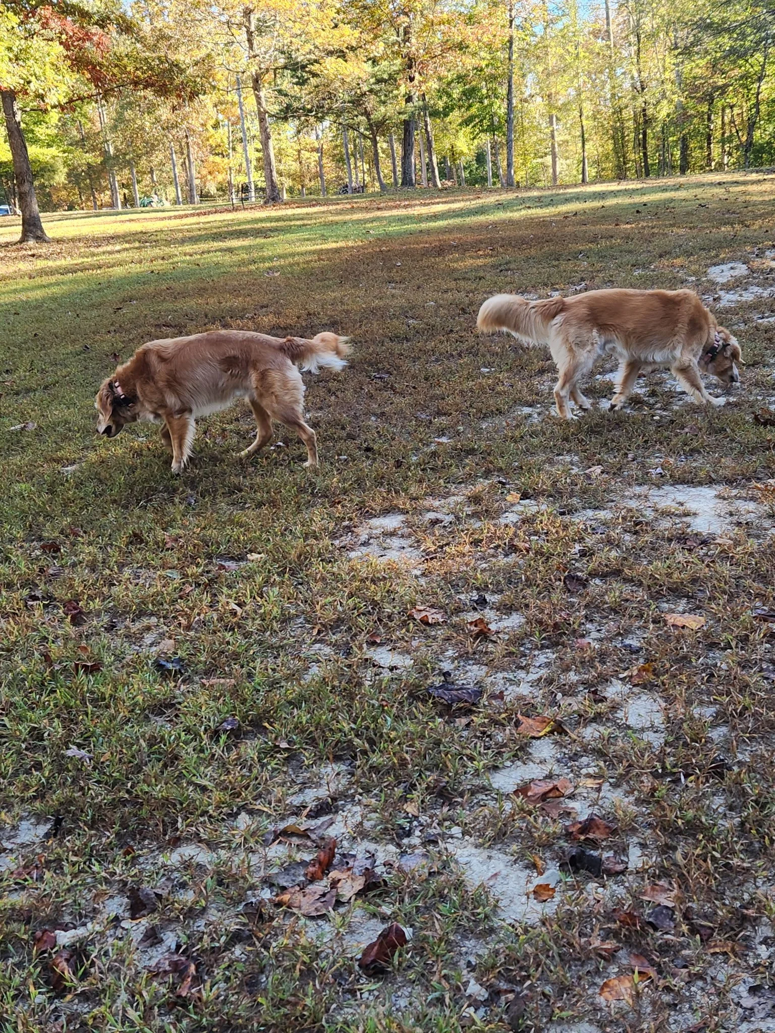 20261023_085510.jpeg