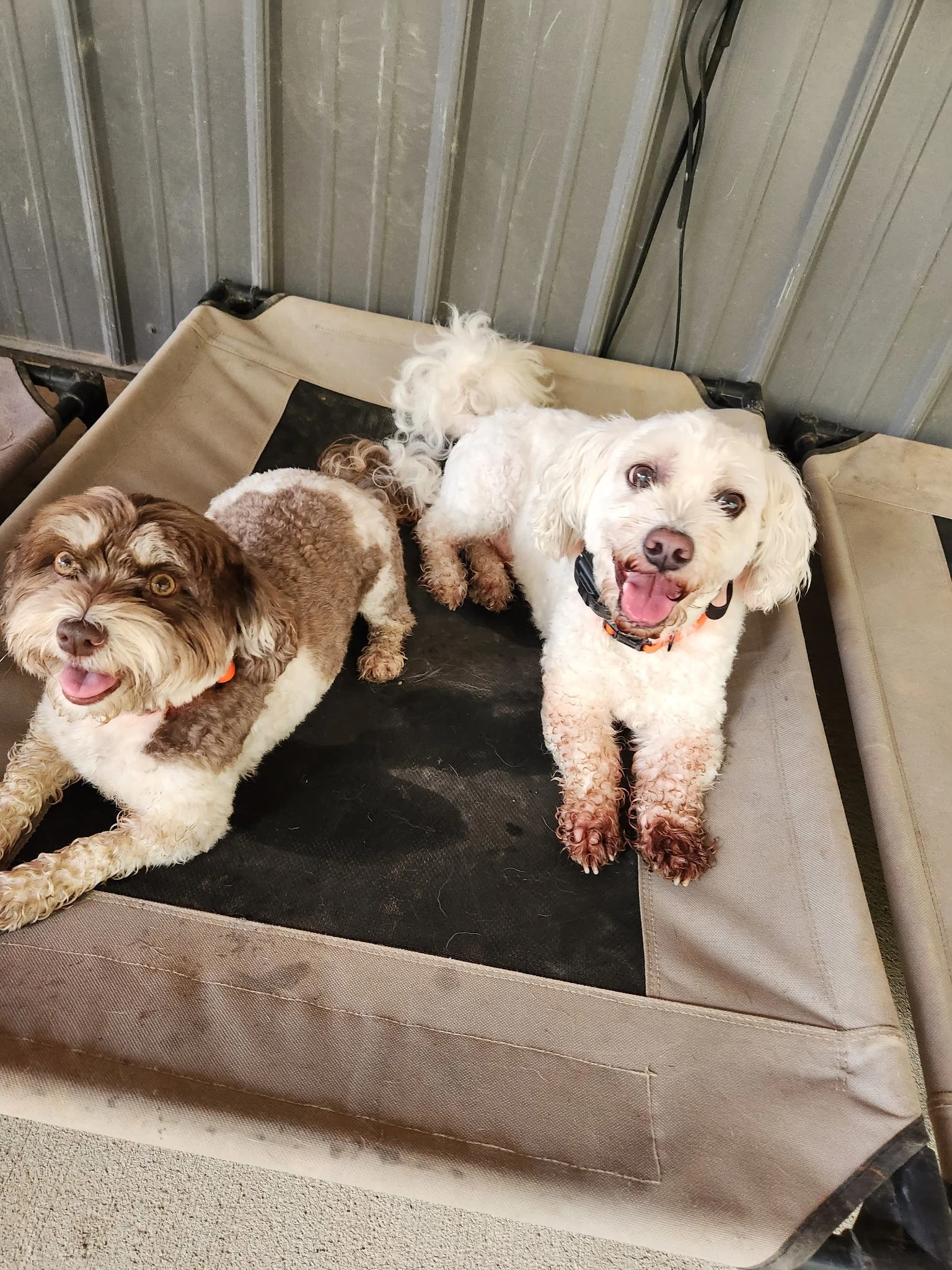 20260912_095243.jpeg