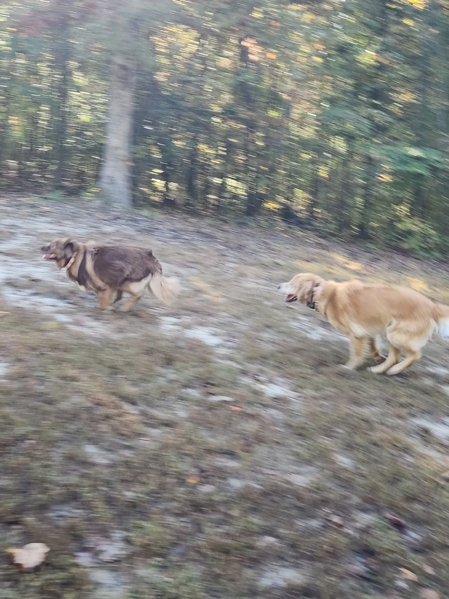 20261023_085646.jpeg