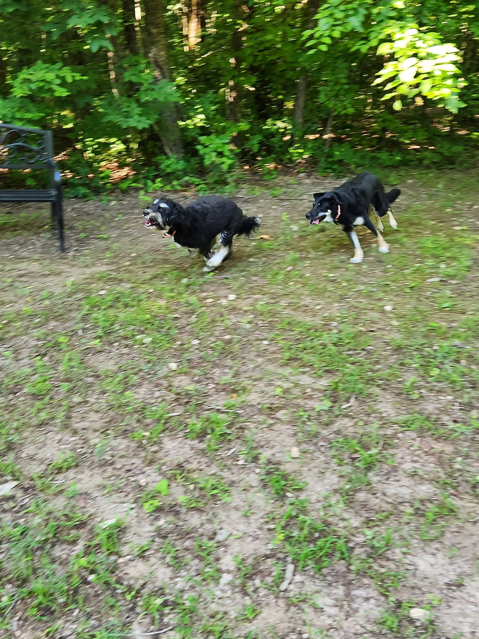 20260611_085033.jpeg