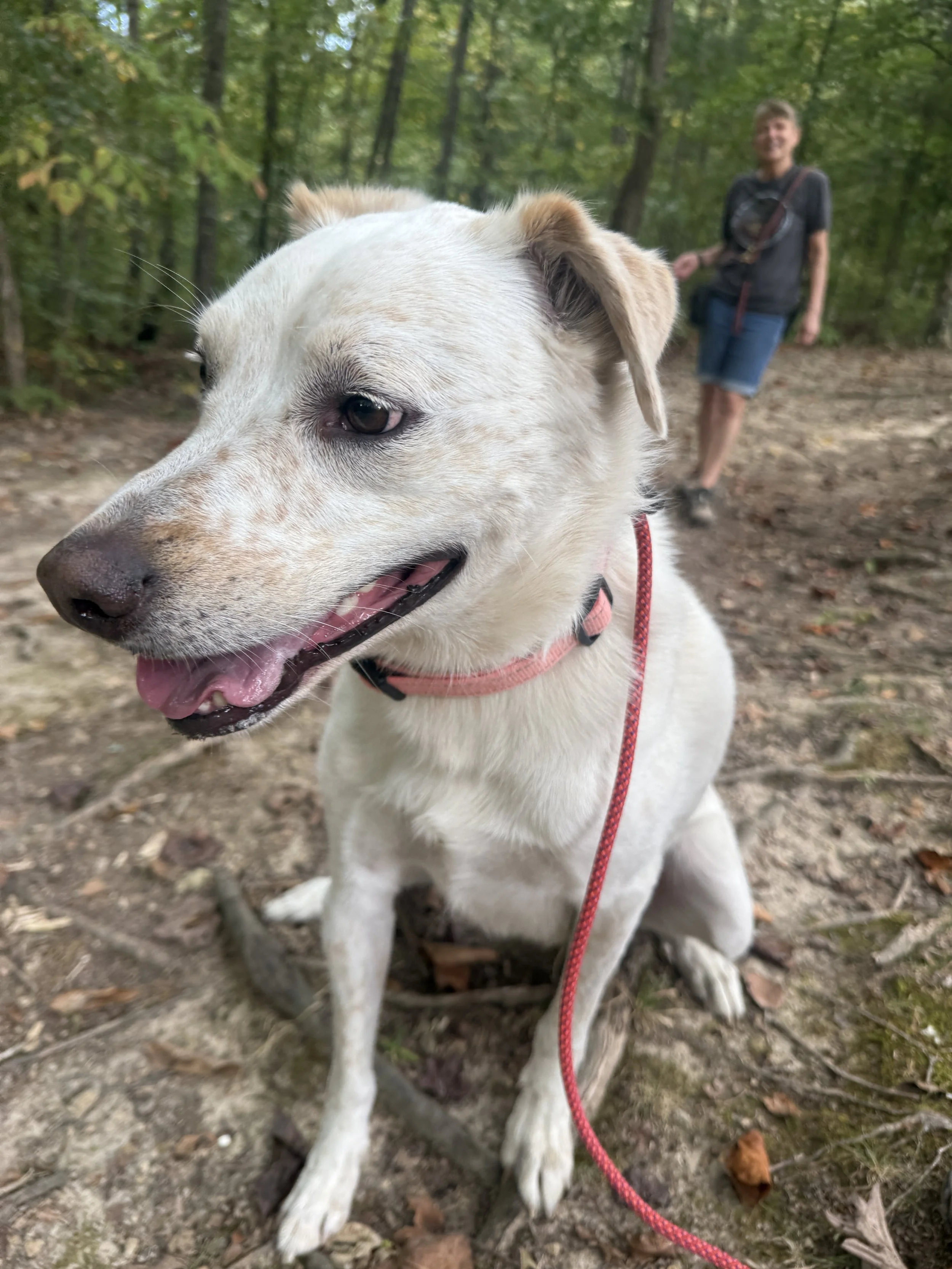 IMG_3504.jpeg