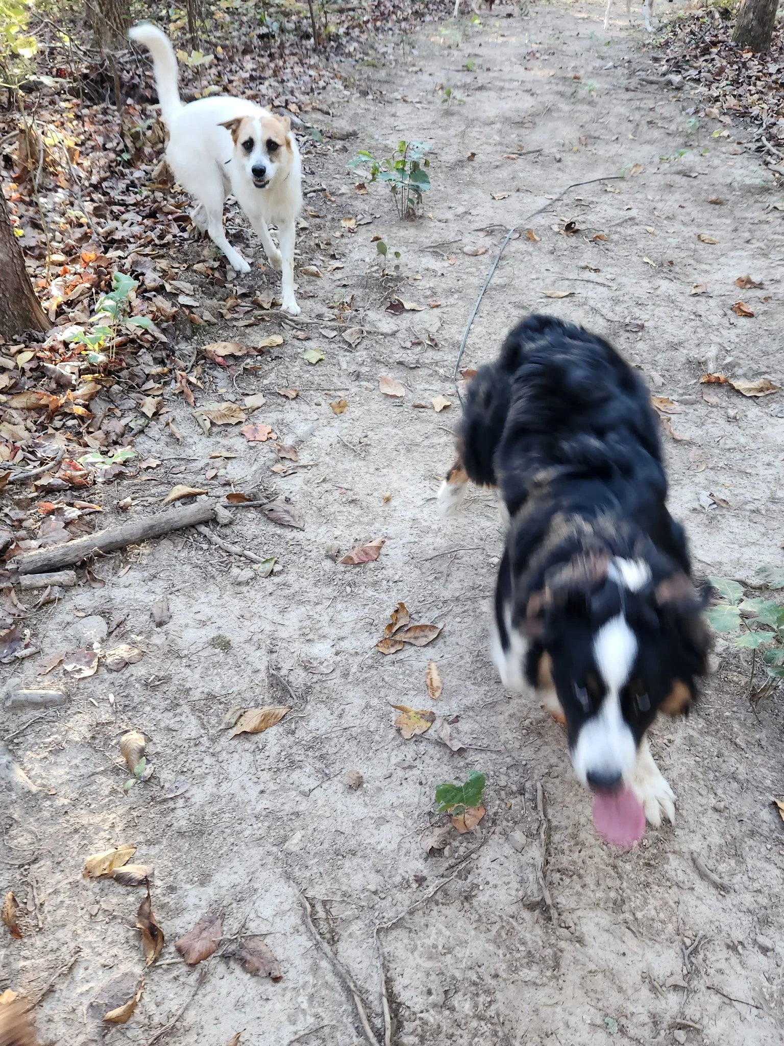 20261022_082832.jpeg