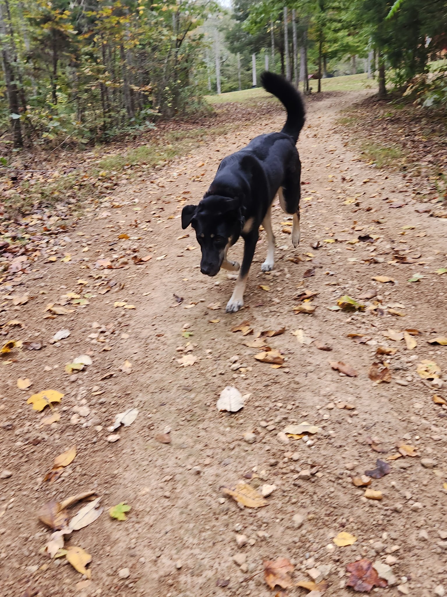 20261016_092637.jpeg