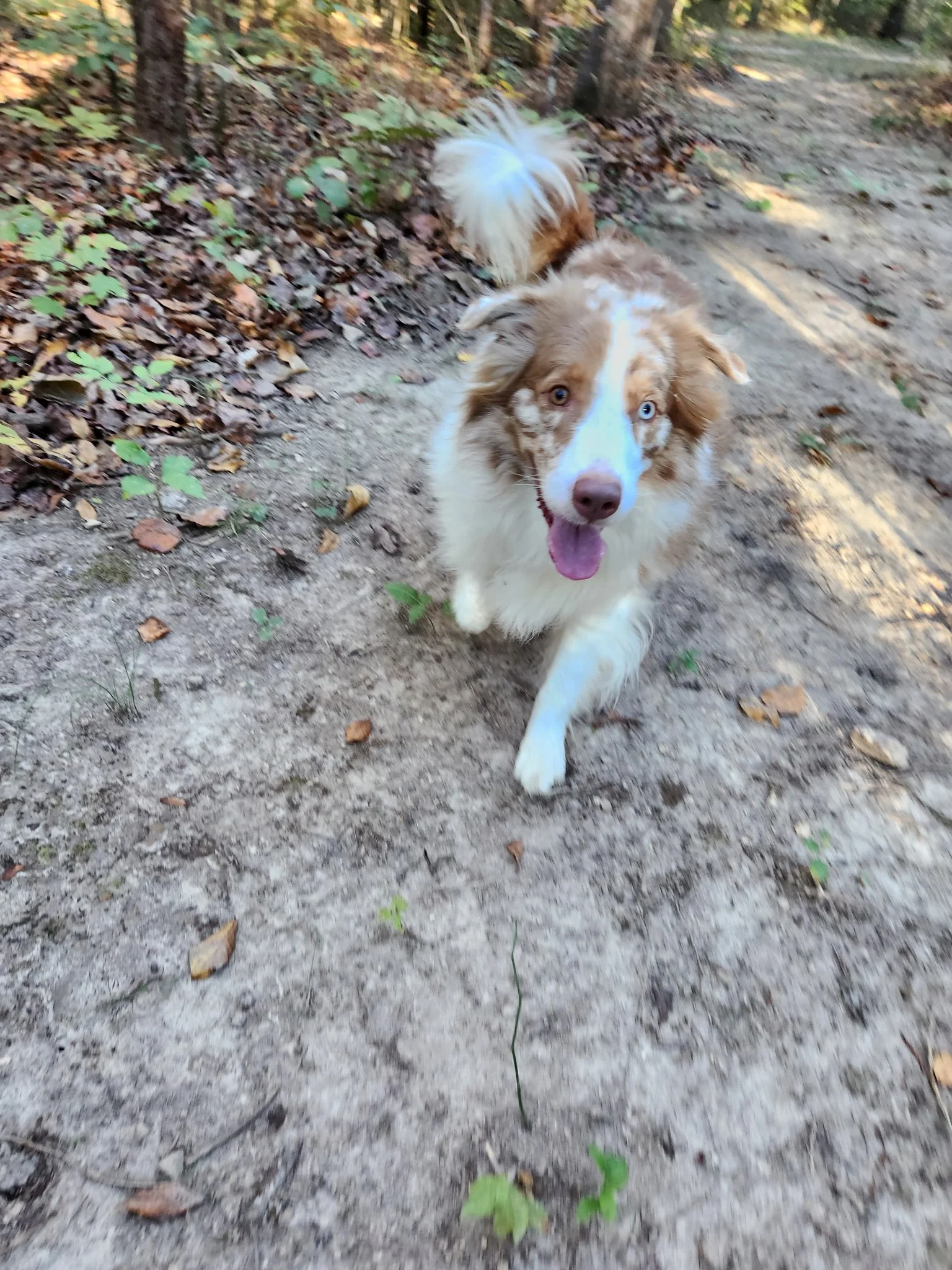 20261021_084015.jpeg