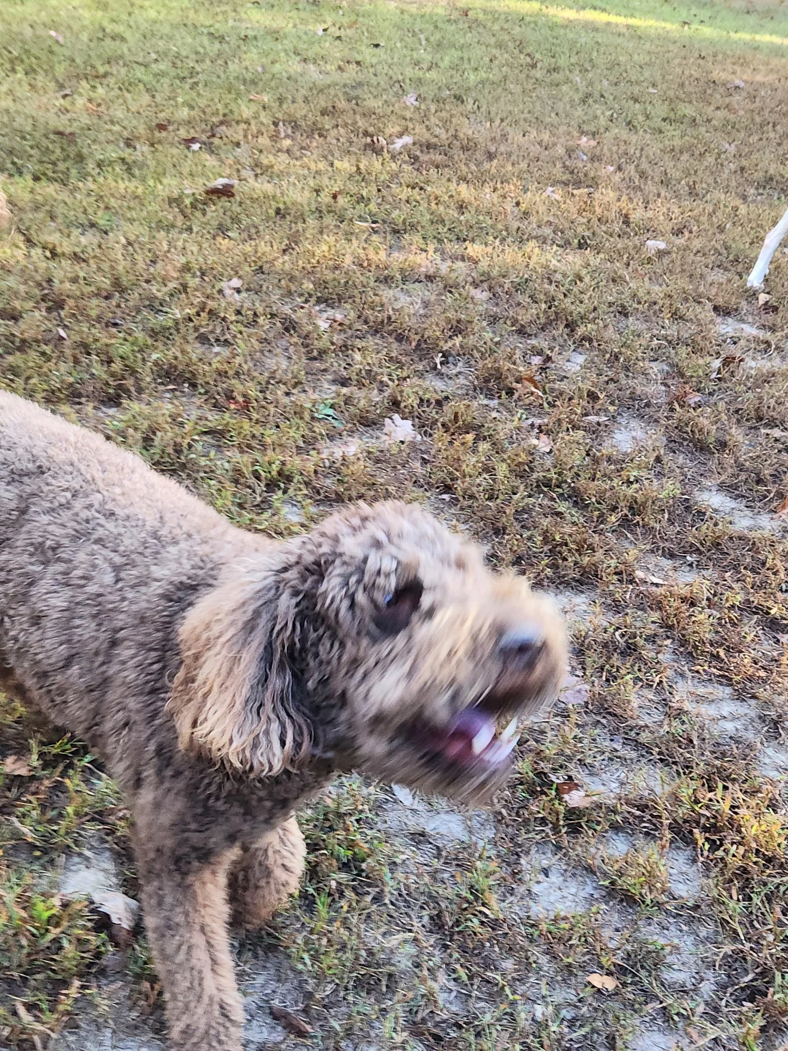 20261024_083405.jpeg