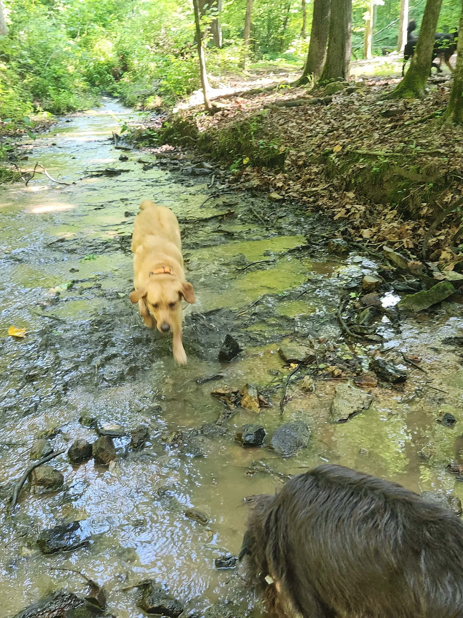 20260610_090959.jpeg