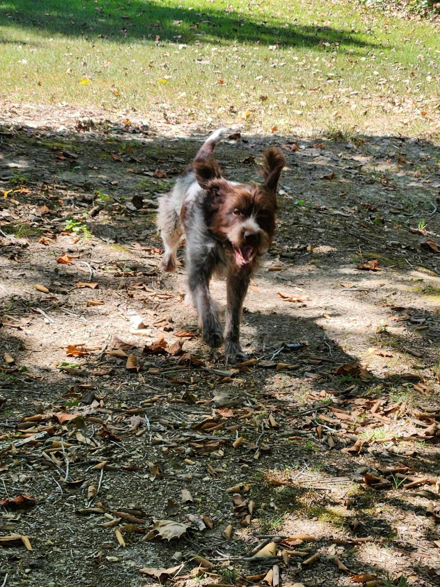 20260911_110715.jpeg
