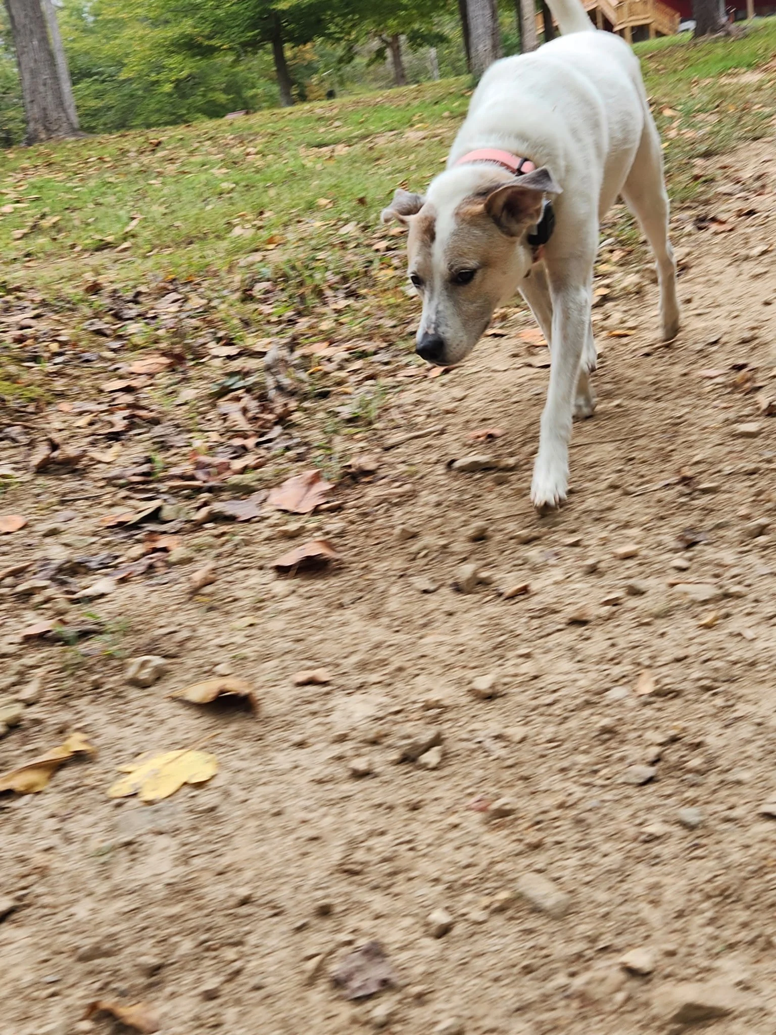 20261016_100035.jpeg