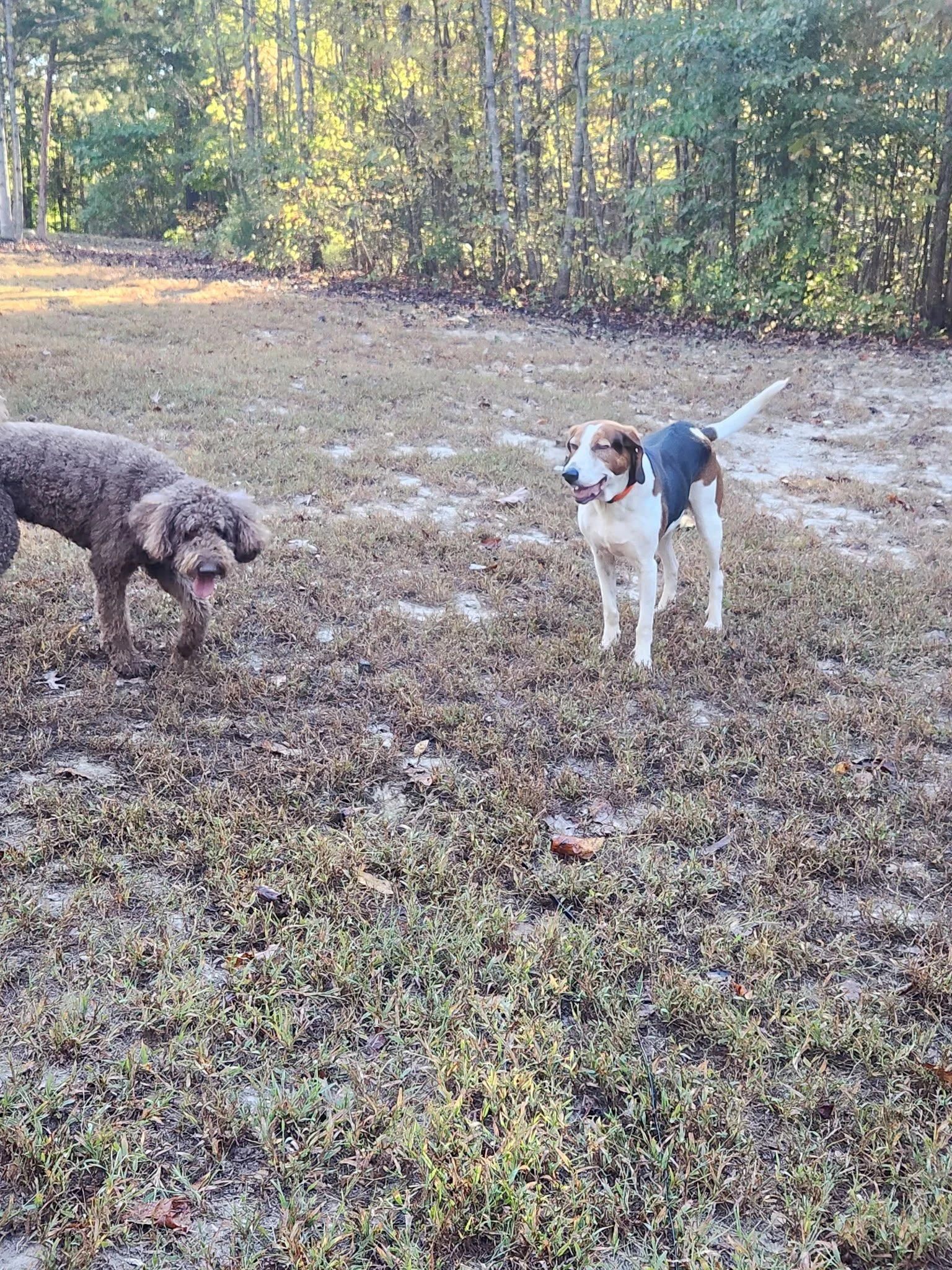 20261023_082550.jpeg
