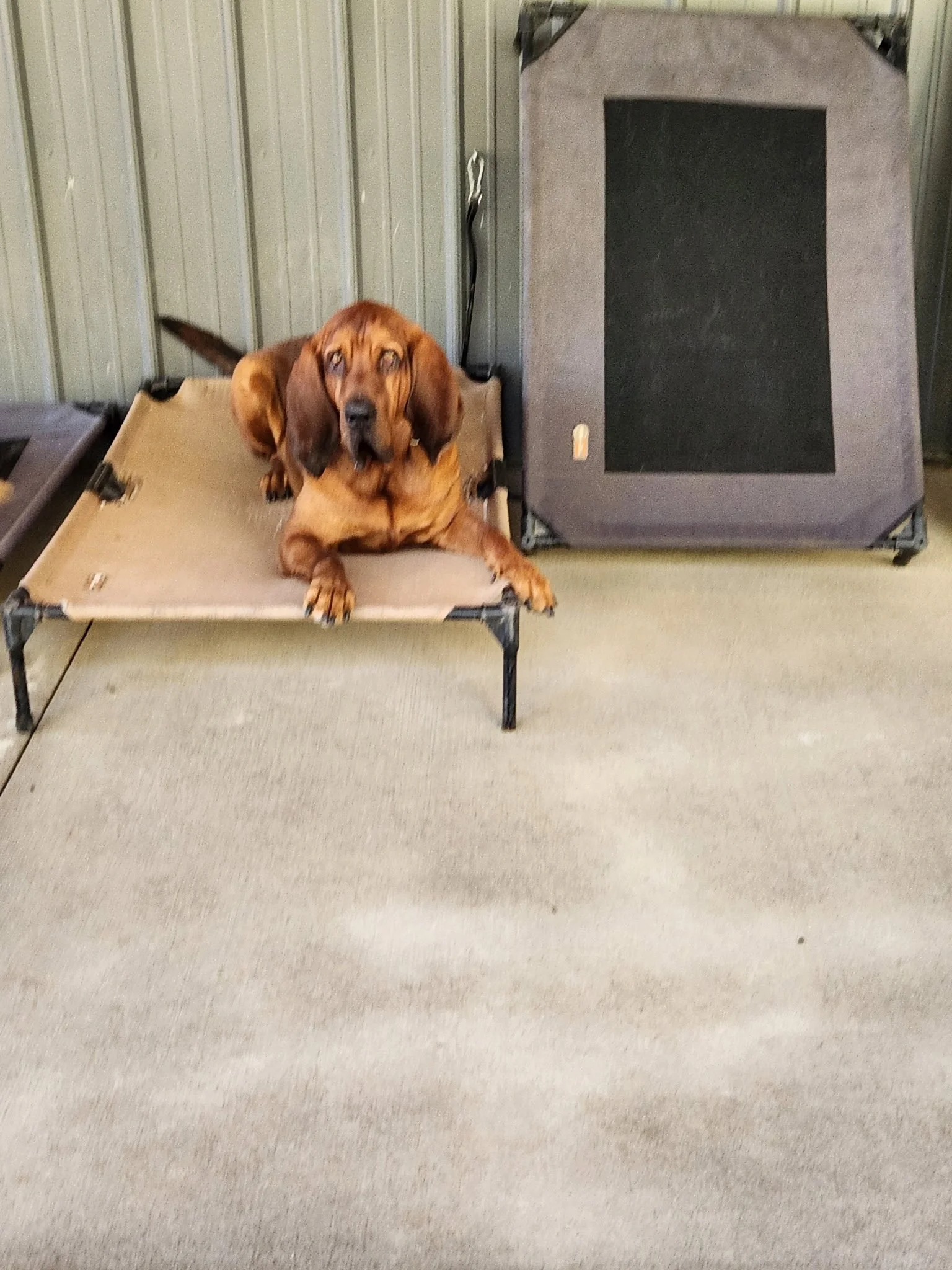 20261020_091819.jpeg