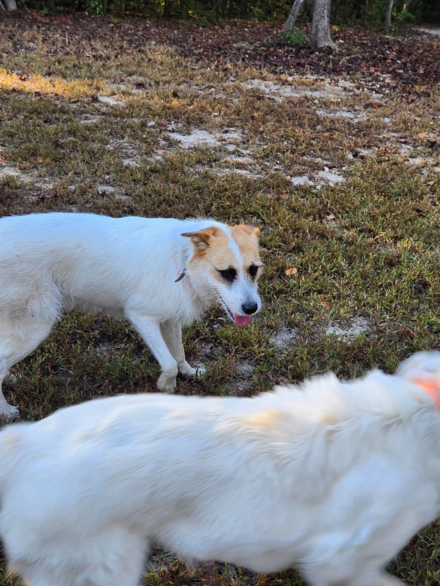 20261024_083417.jpeg