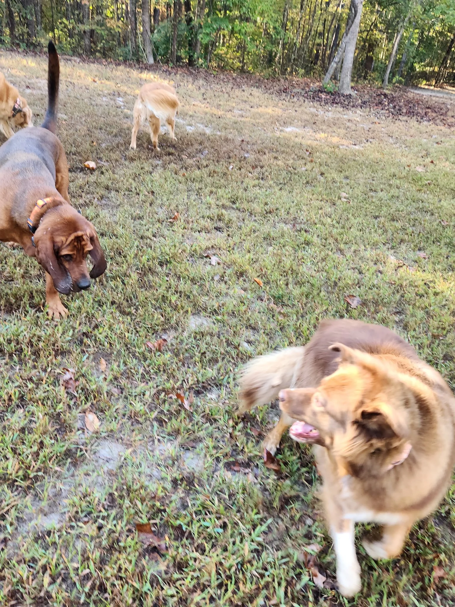 20261023_085707.jpeg