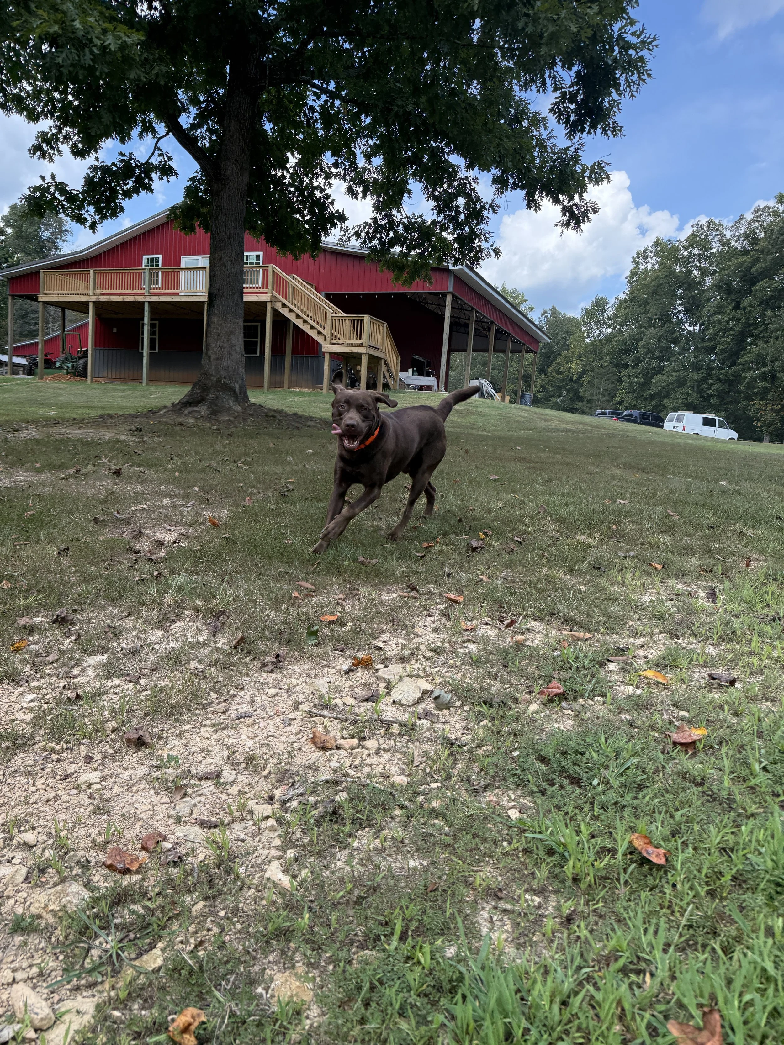 IMG_3383.jpeg