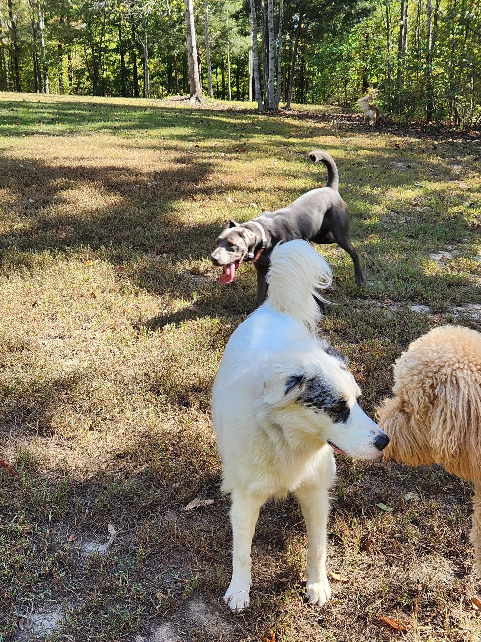 20261017_111038.jpeg