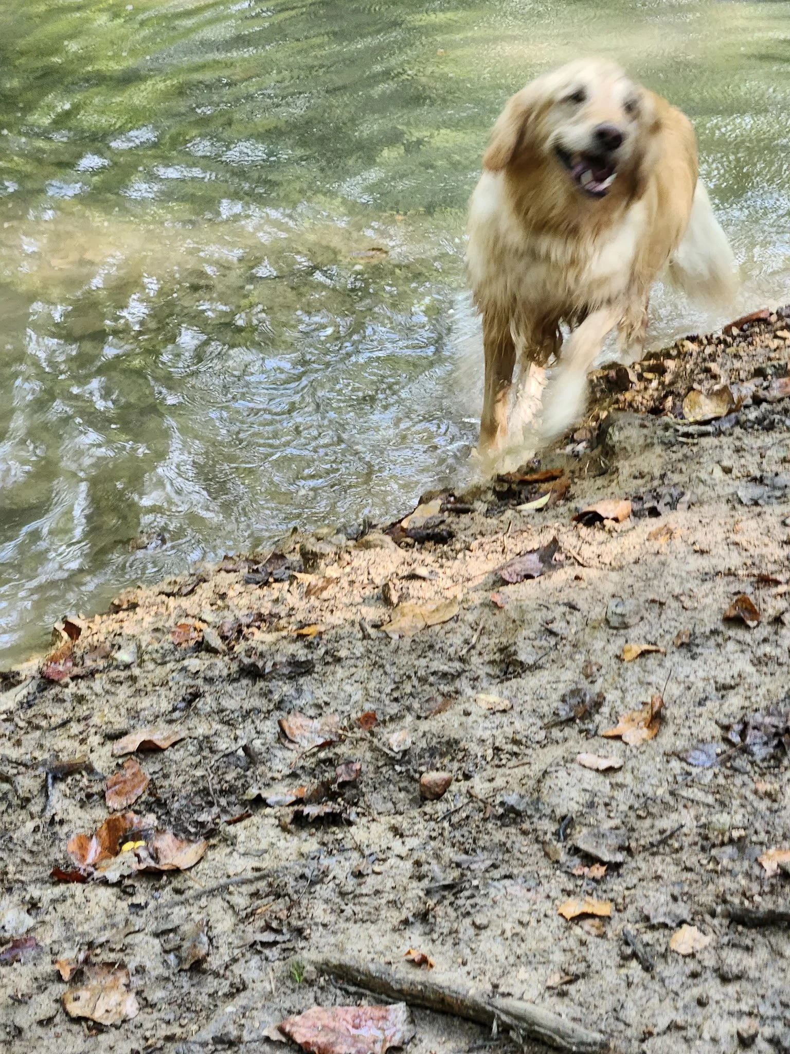 20260911_094401.jpeg